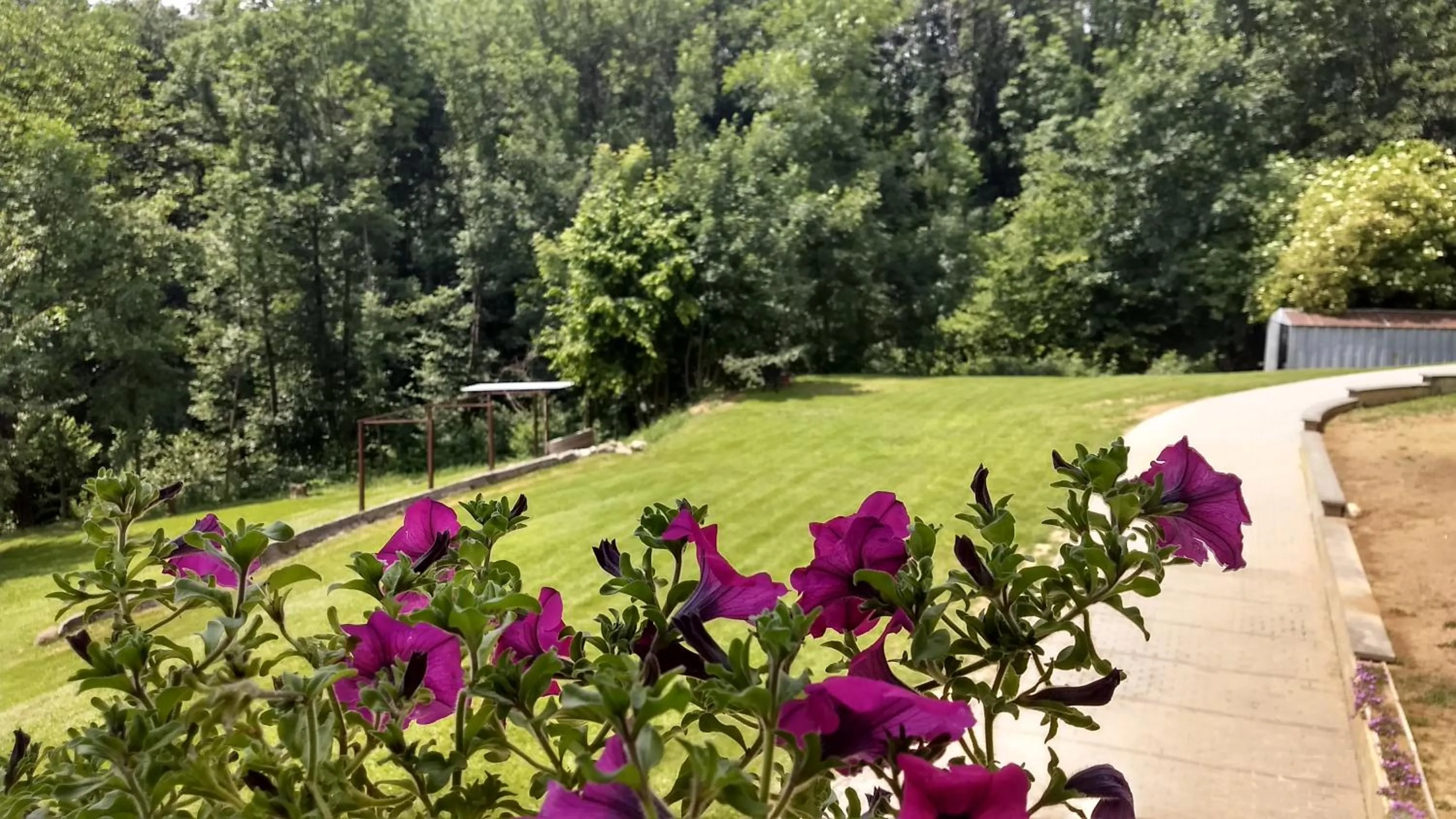 Appartamento La Casa nel Bosco