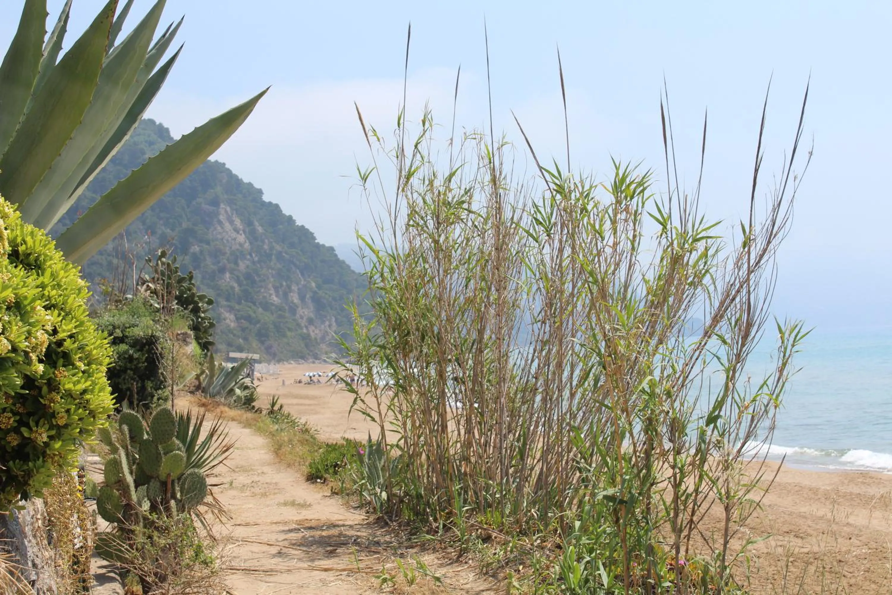Glyfada Gorgona Apartments