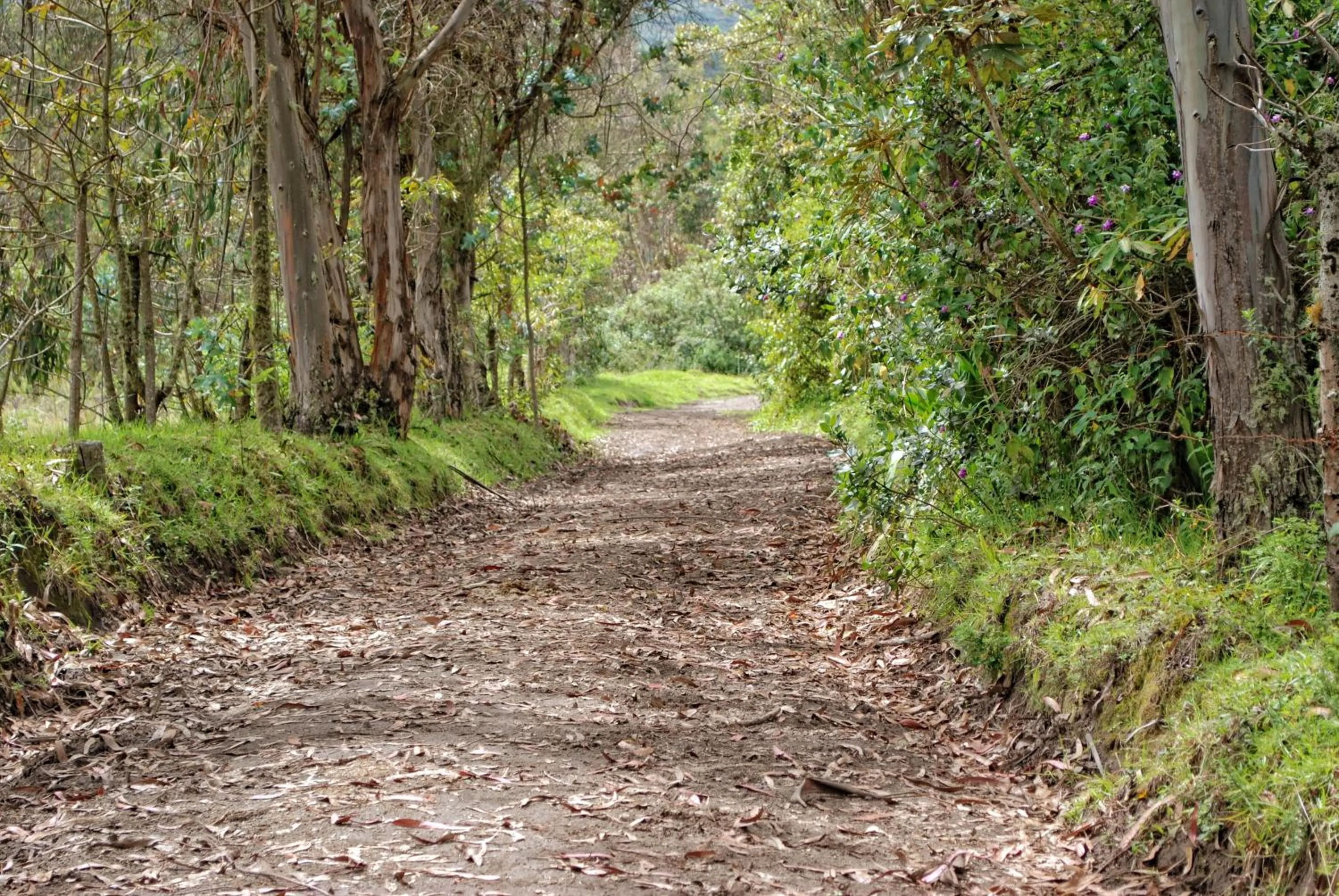 Hiking in Hacienda San Isidro Trails & Experiences
