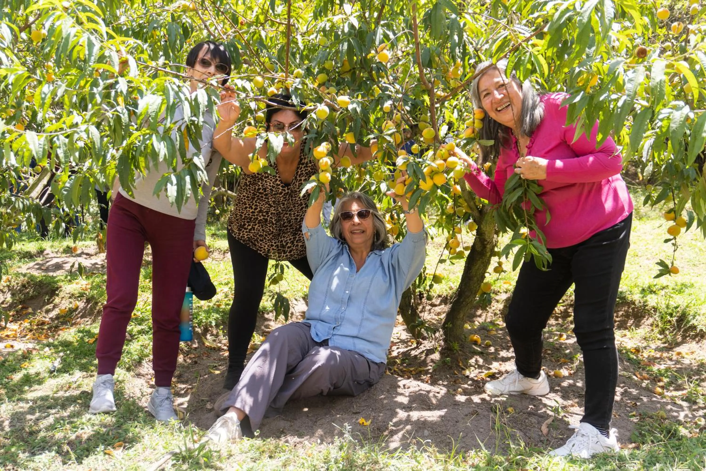 Hacienda San Isidro Trails & Experiences