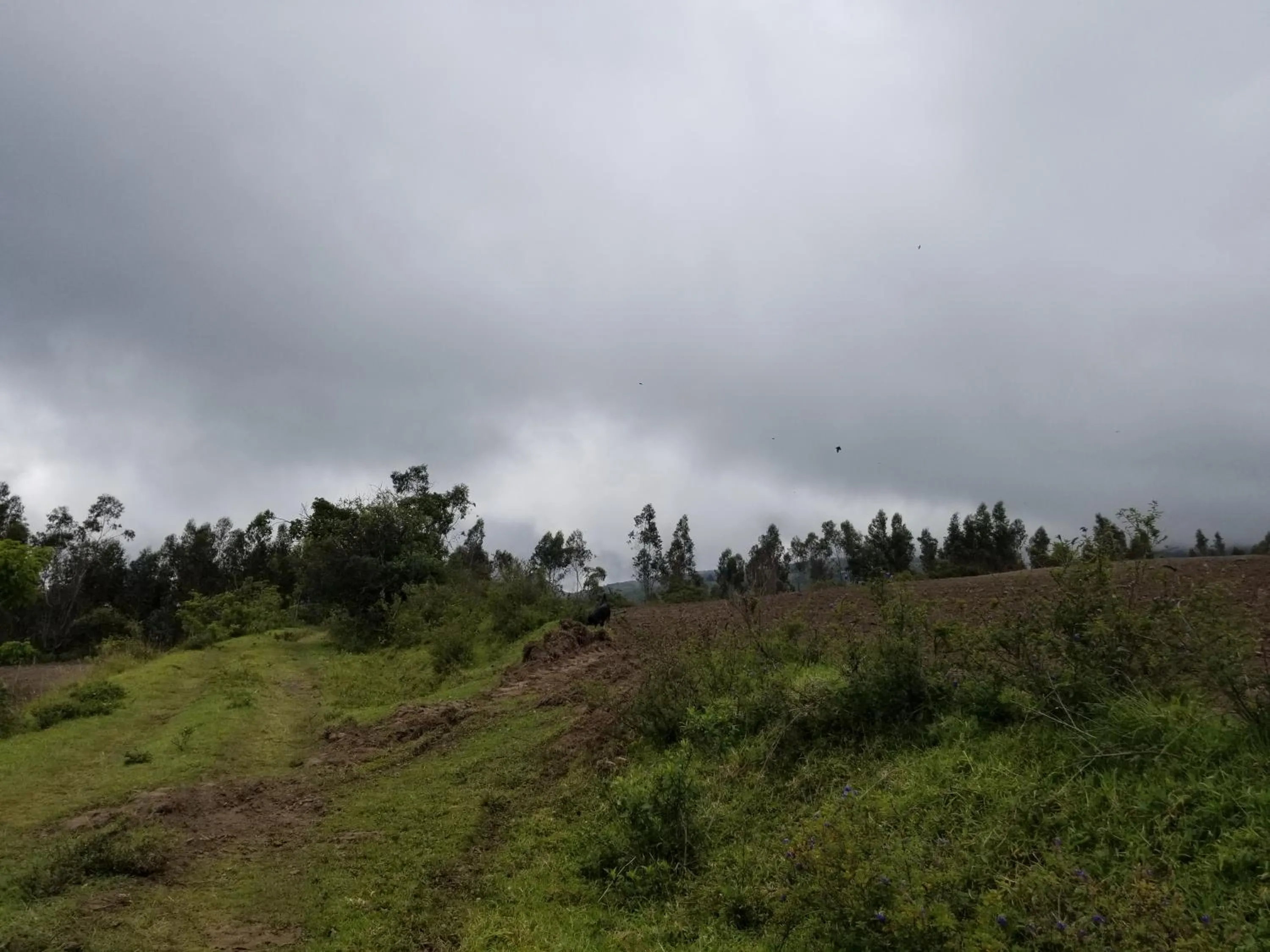 Day in Hacienda San Isidro Trails & Experiences