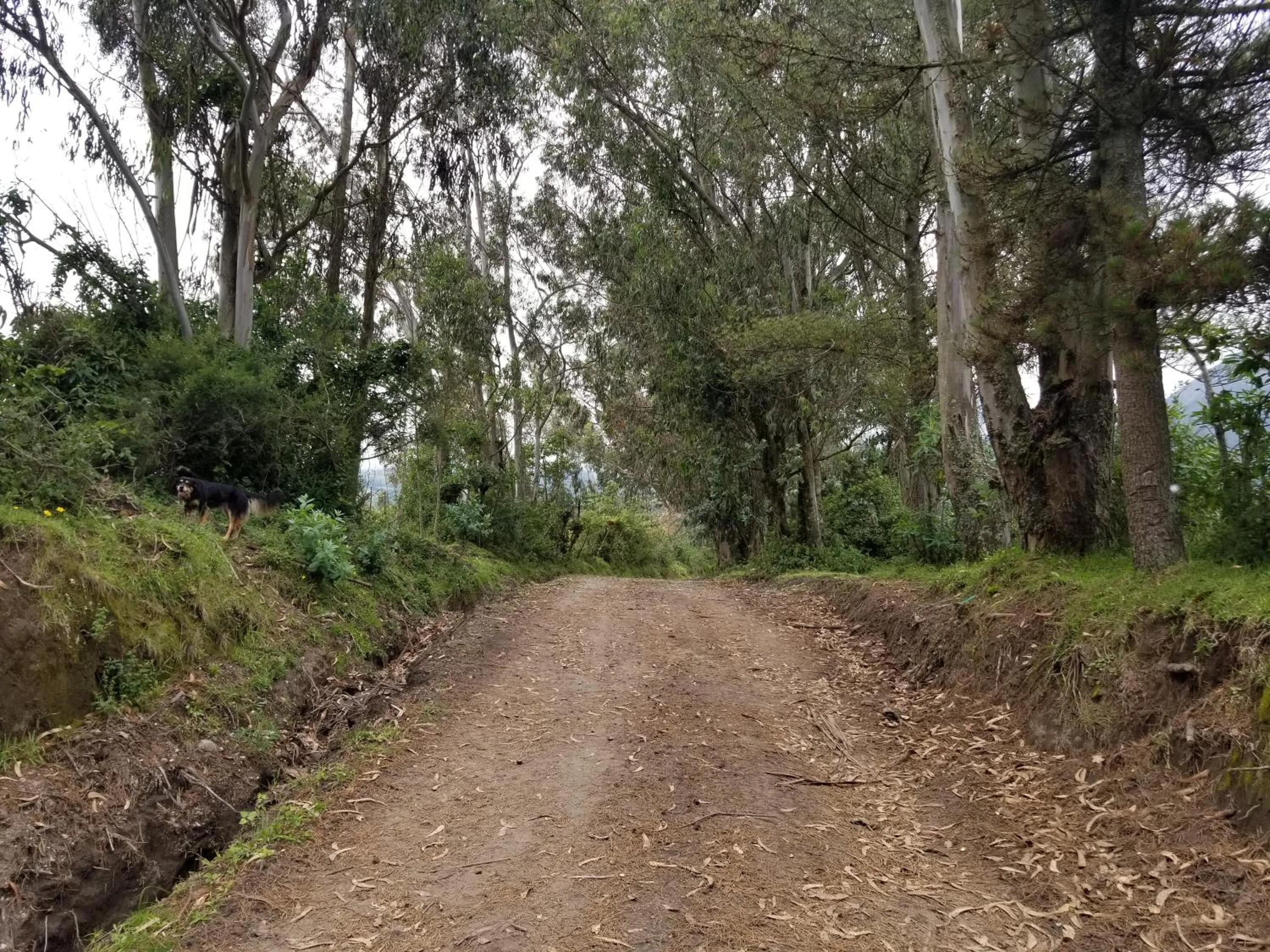 Hiking in Hacienda San Isidro Trails & Experiences