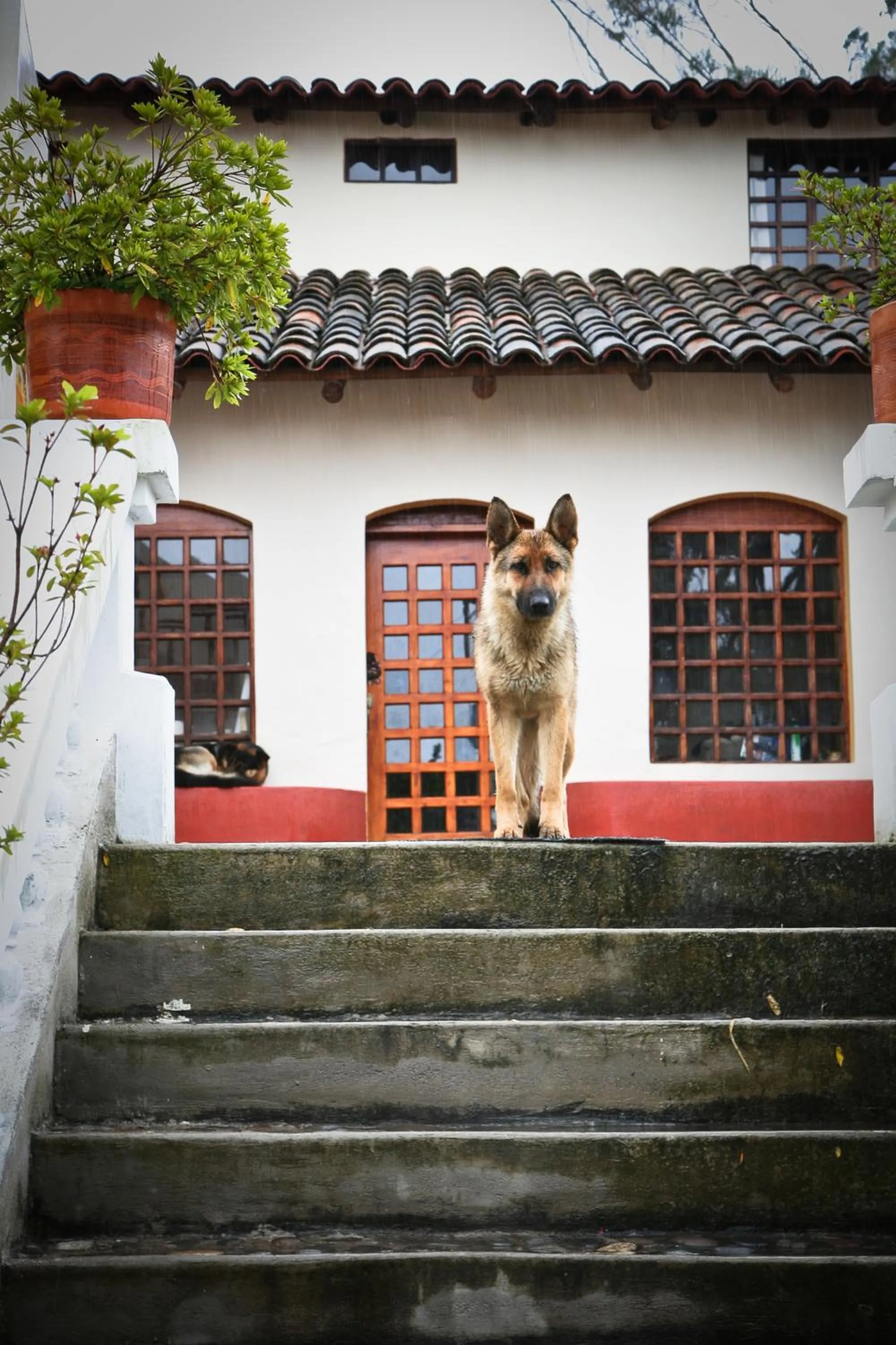 Living room in Hacienda San Isidro Trails & Experiences
