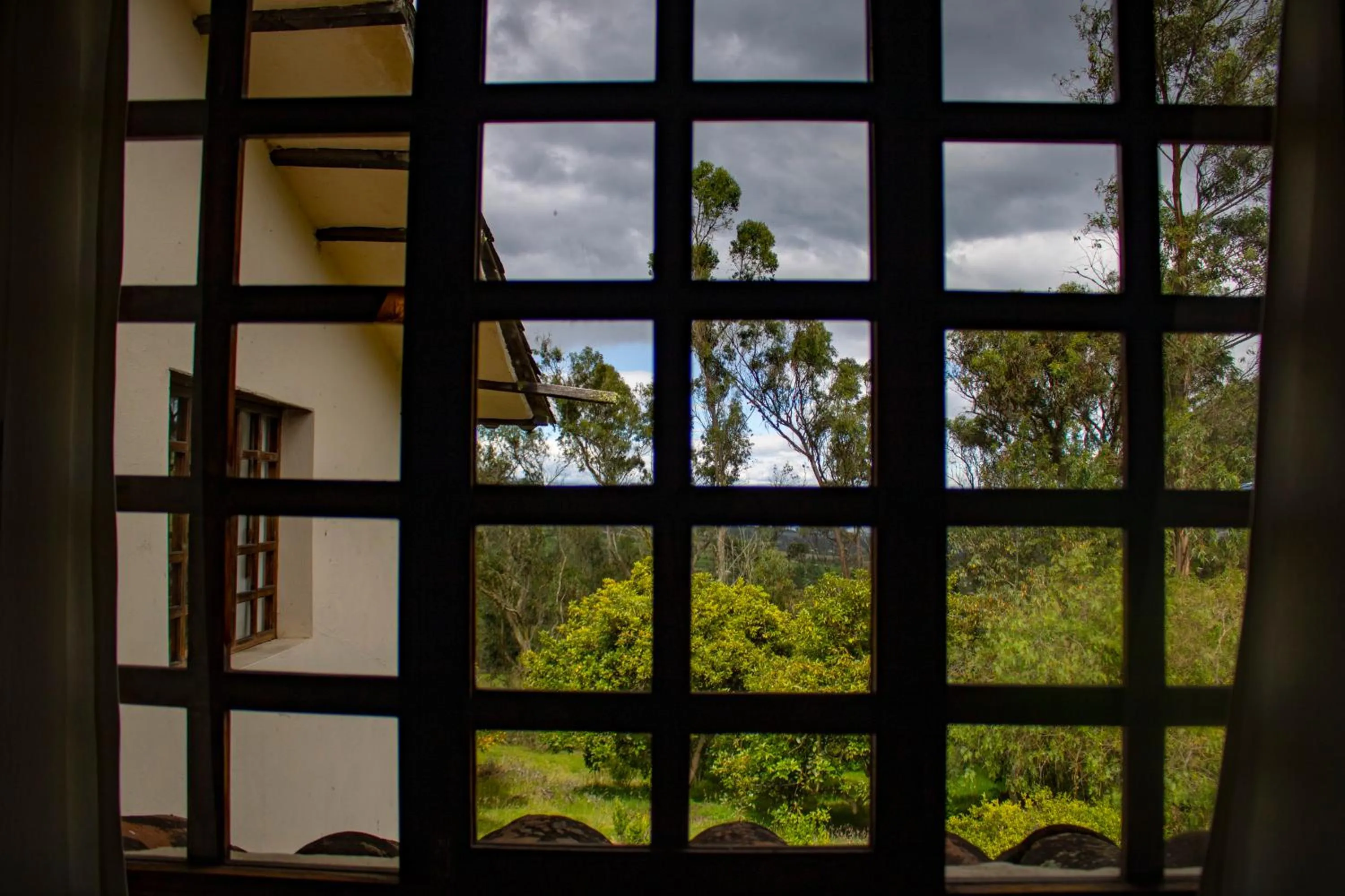 Garden view in Hacienda San Isidro Trails & Experiences