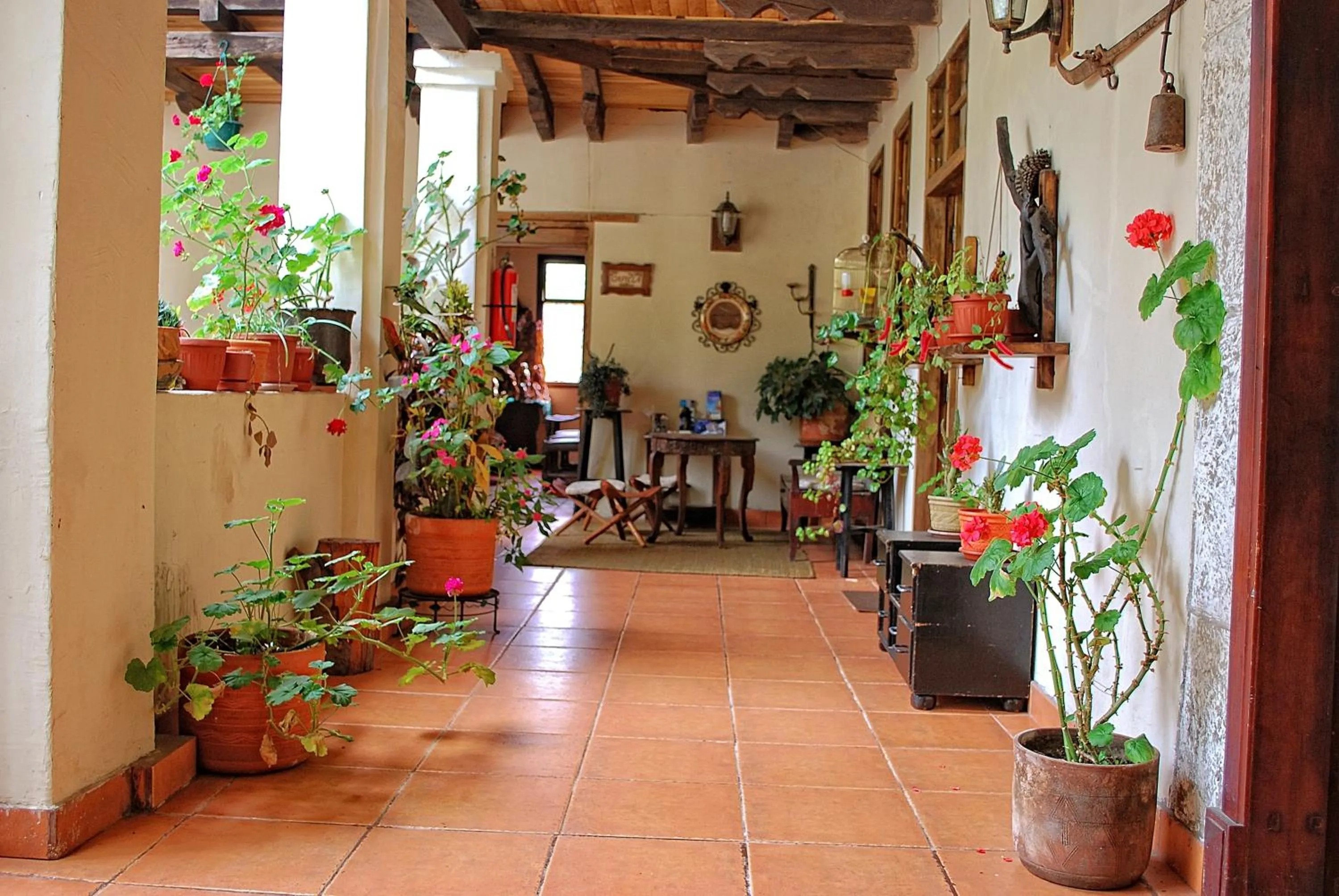 Business facilities in Hacienda San Isidro Trails & Experiences