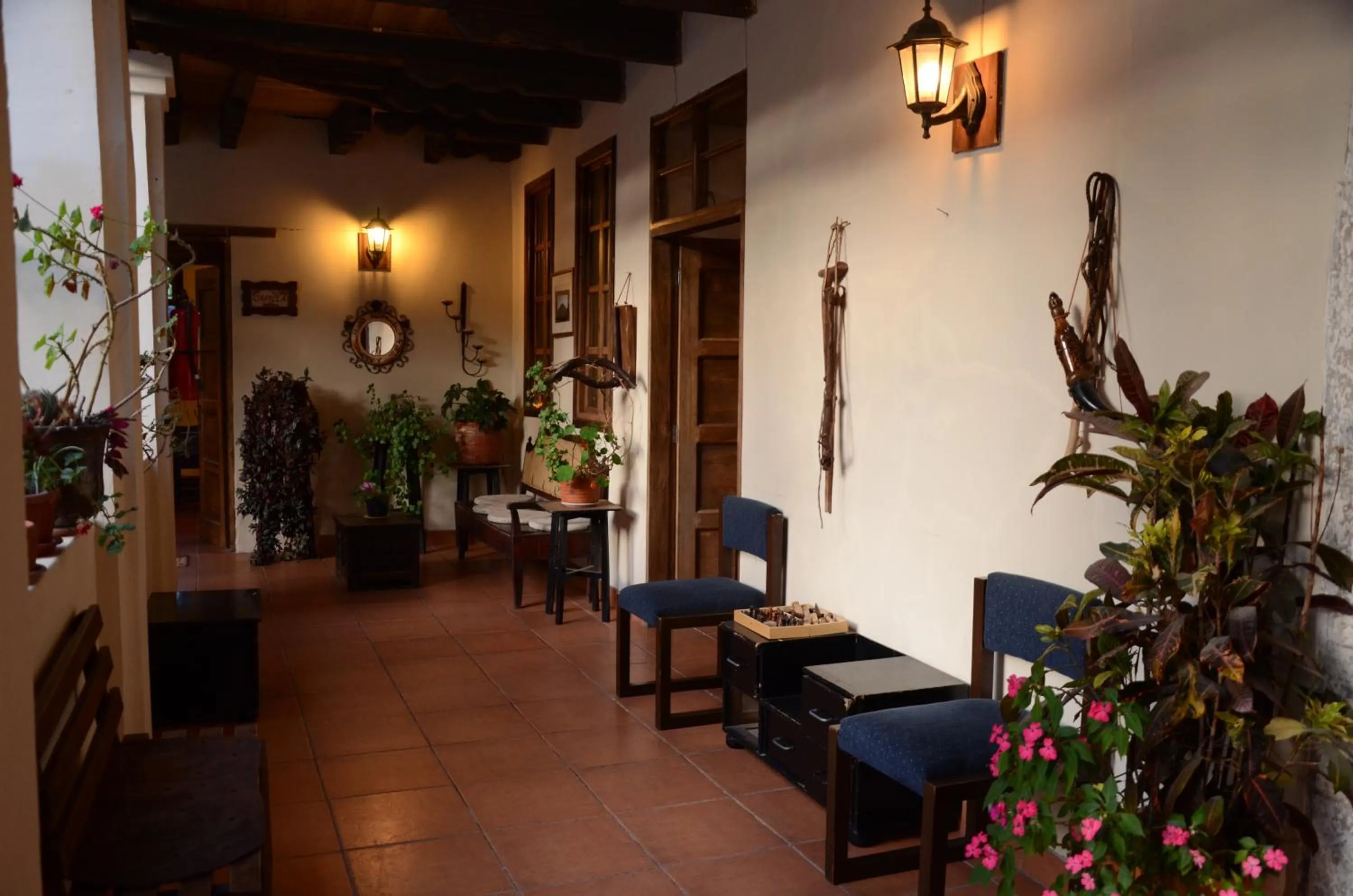 Garden view in Hacienda San Isidro Trails & Experiences