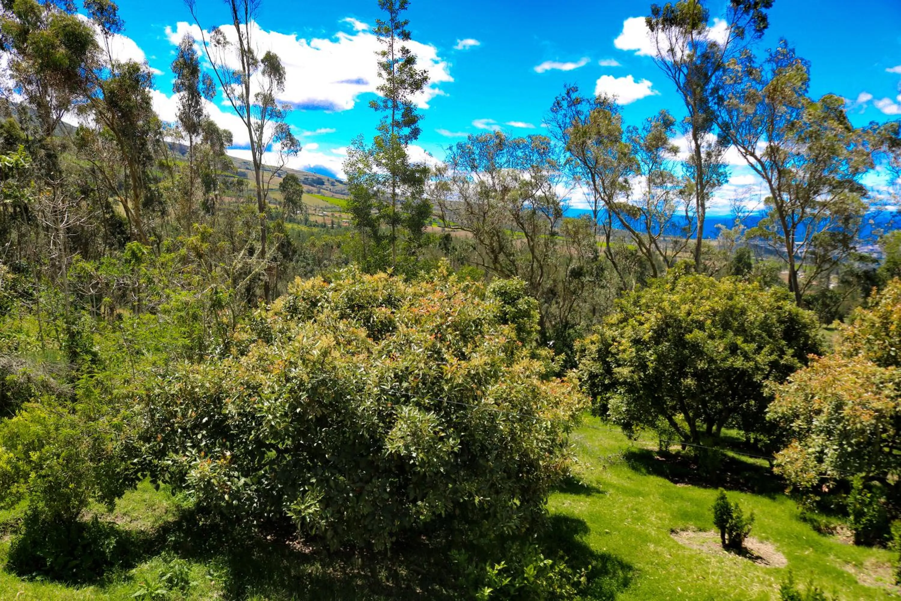 Natural landscape in Hacienda San Isidro Trails & Experiences