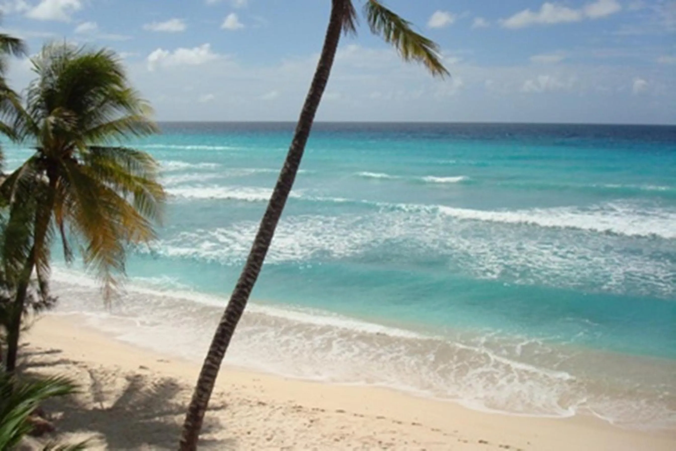 Beach in White Sands Beach Condos