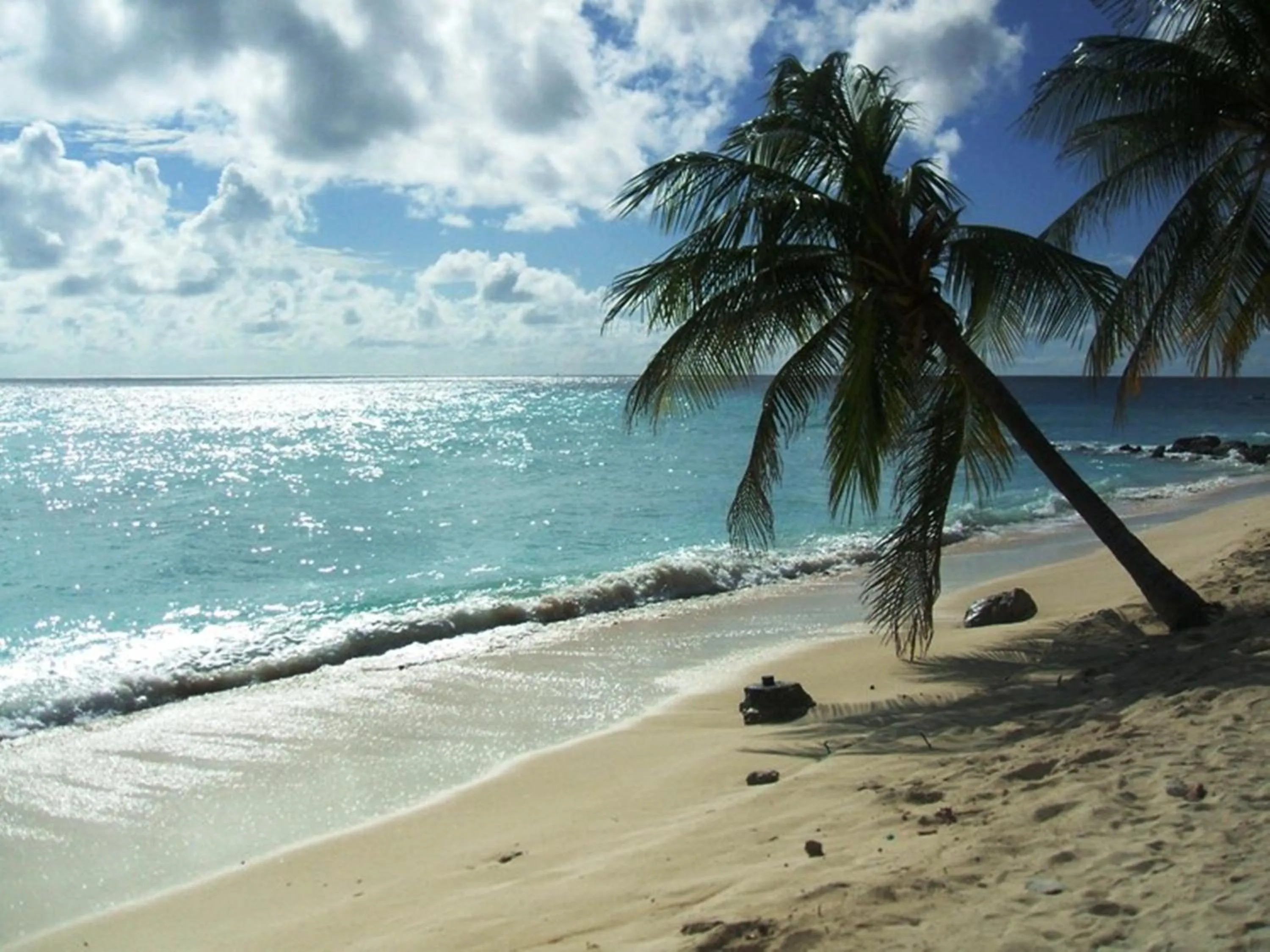 Beach in White Sands Beach Condos