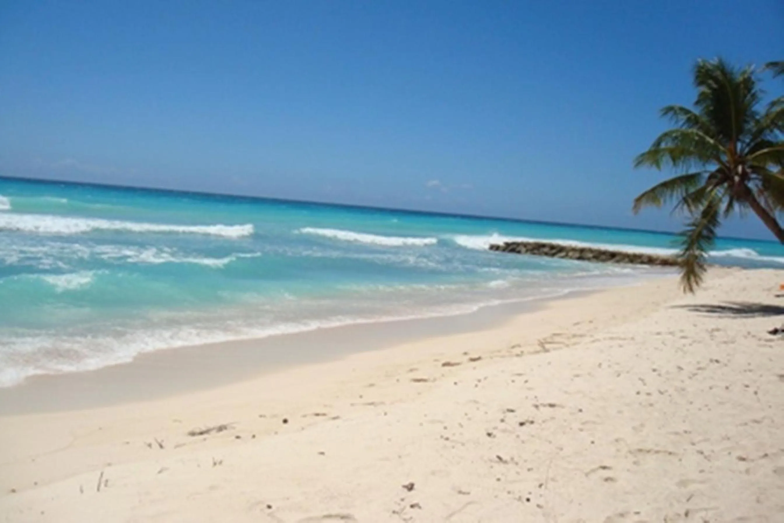 Beach in White Sands Beach Condos