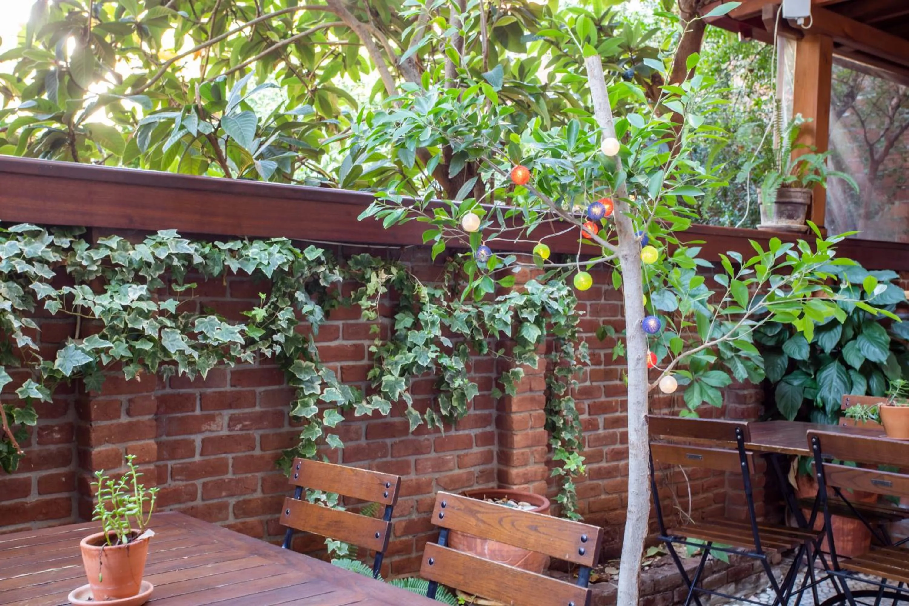 Patio in Mare Nostrum