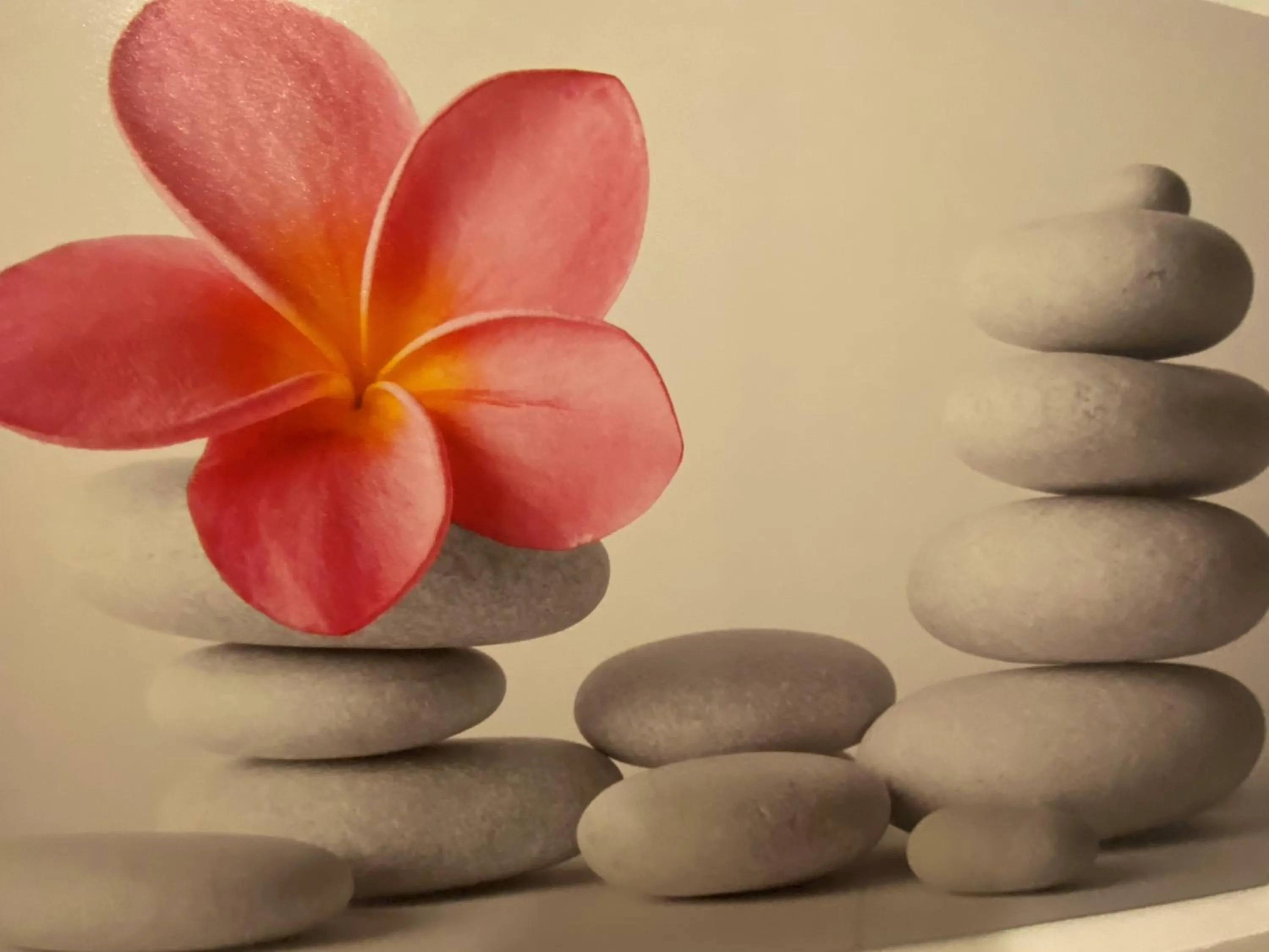 Sauna in Mercure Perpignan Centre