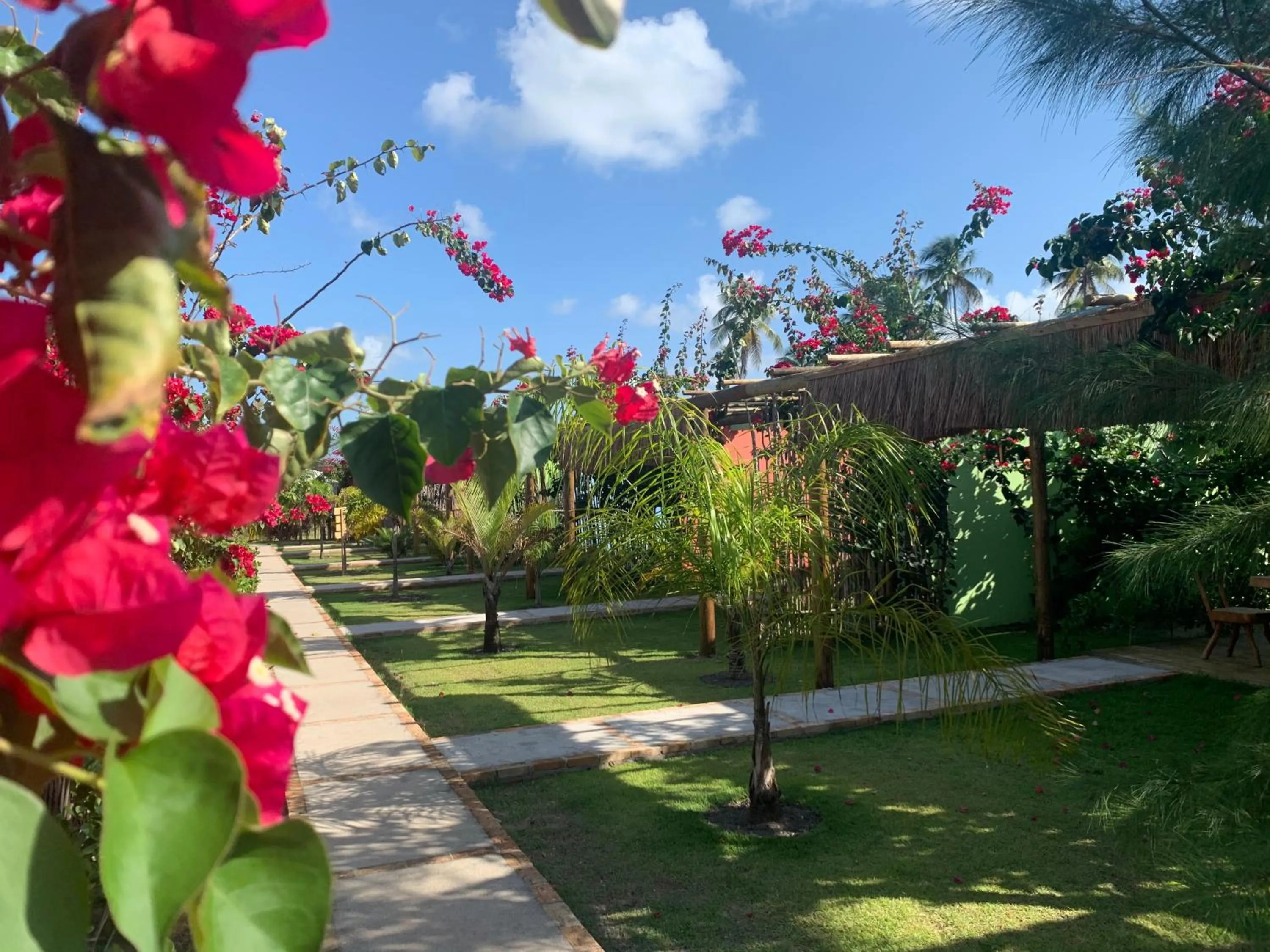 Garden in Vila do Coco - Milagres AL