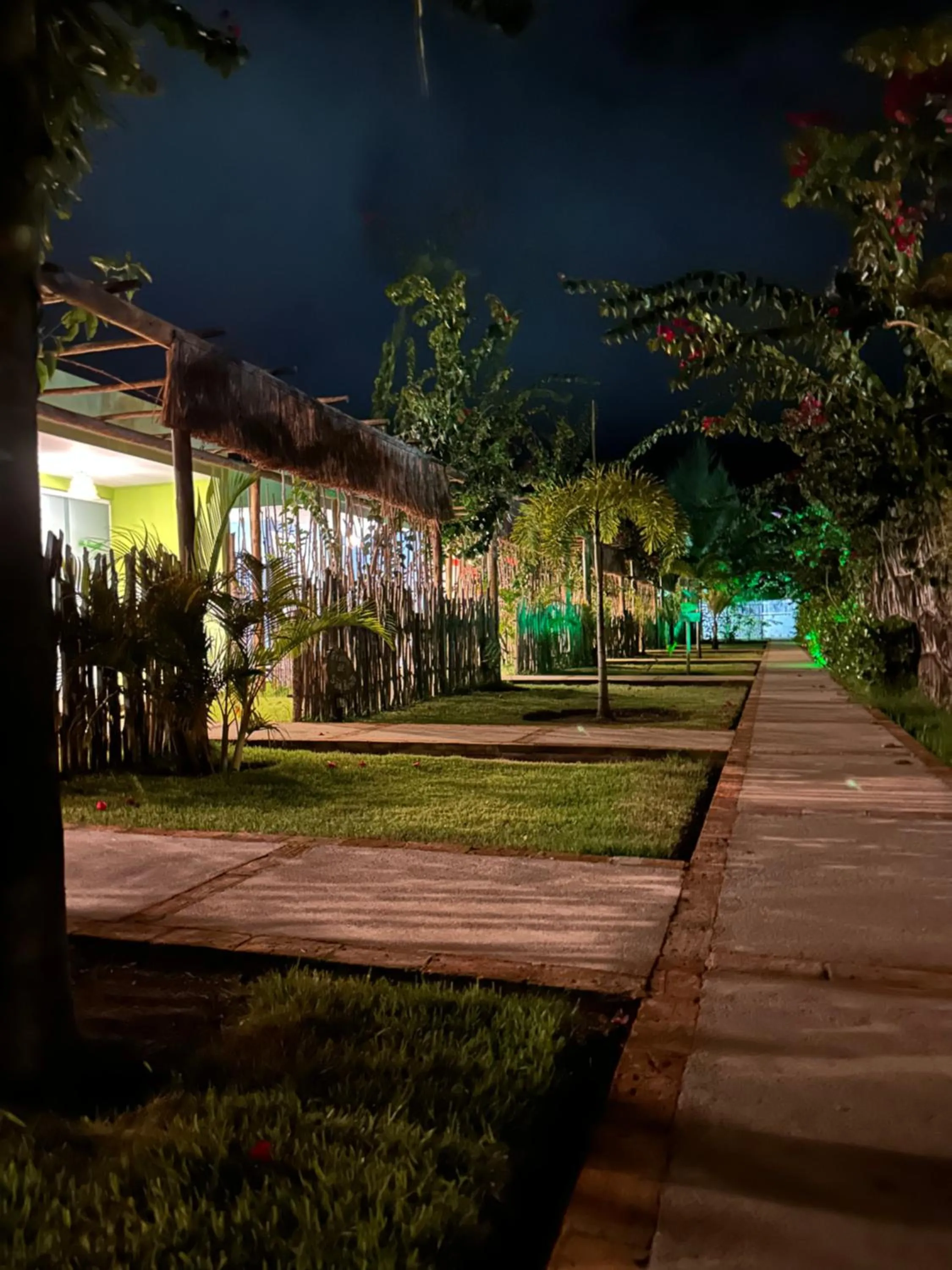 Garden in Vila do Coco - Milagres AL