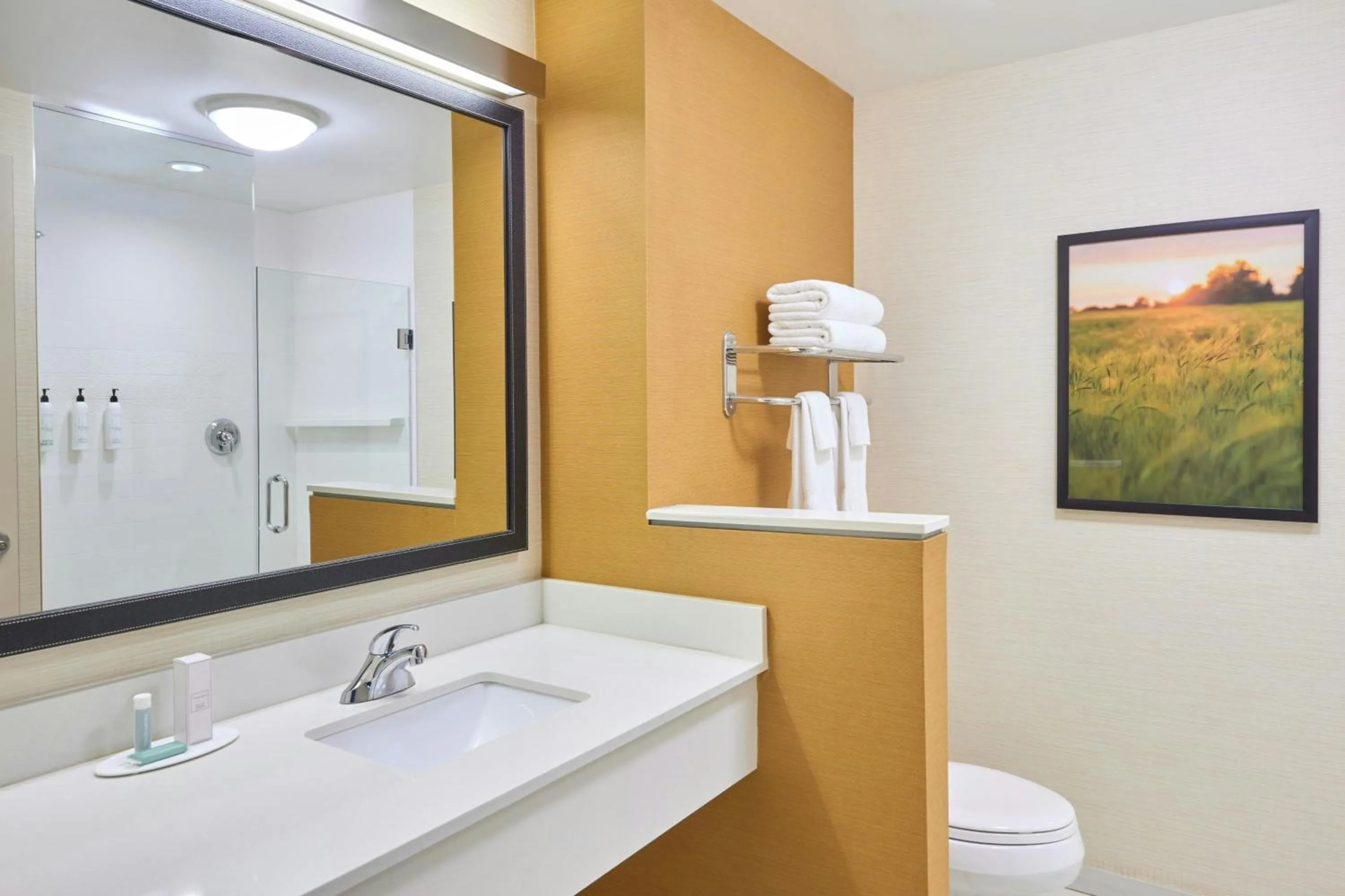 Bathroom in Fairfield by Marriott Inn & Suites Knoxville Turkey Creek