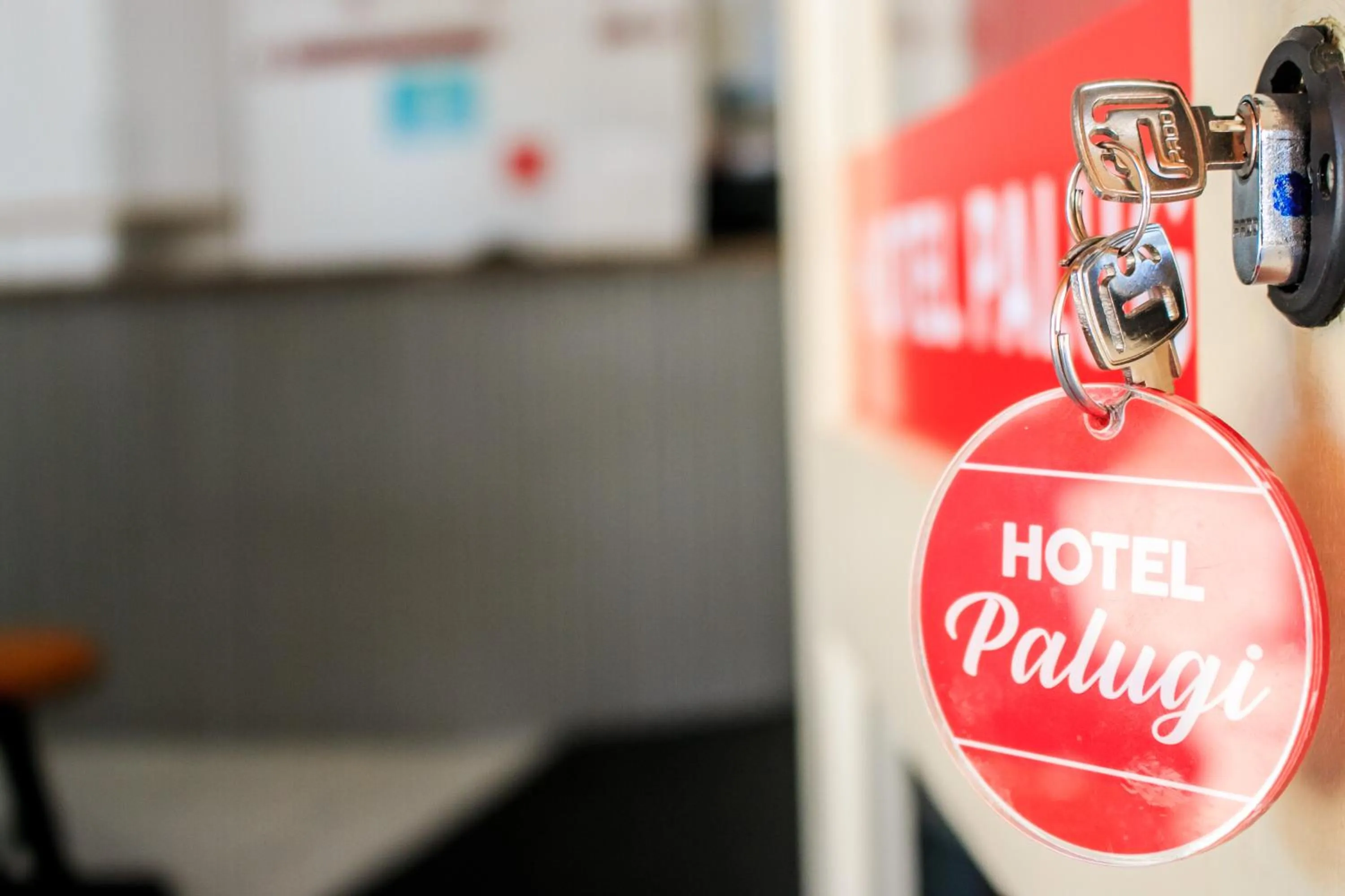 Lobby or reception in Hotel Palugi