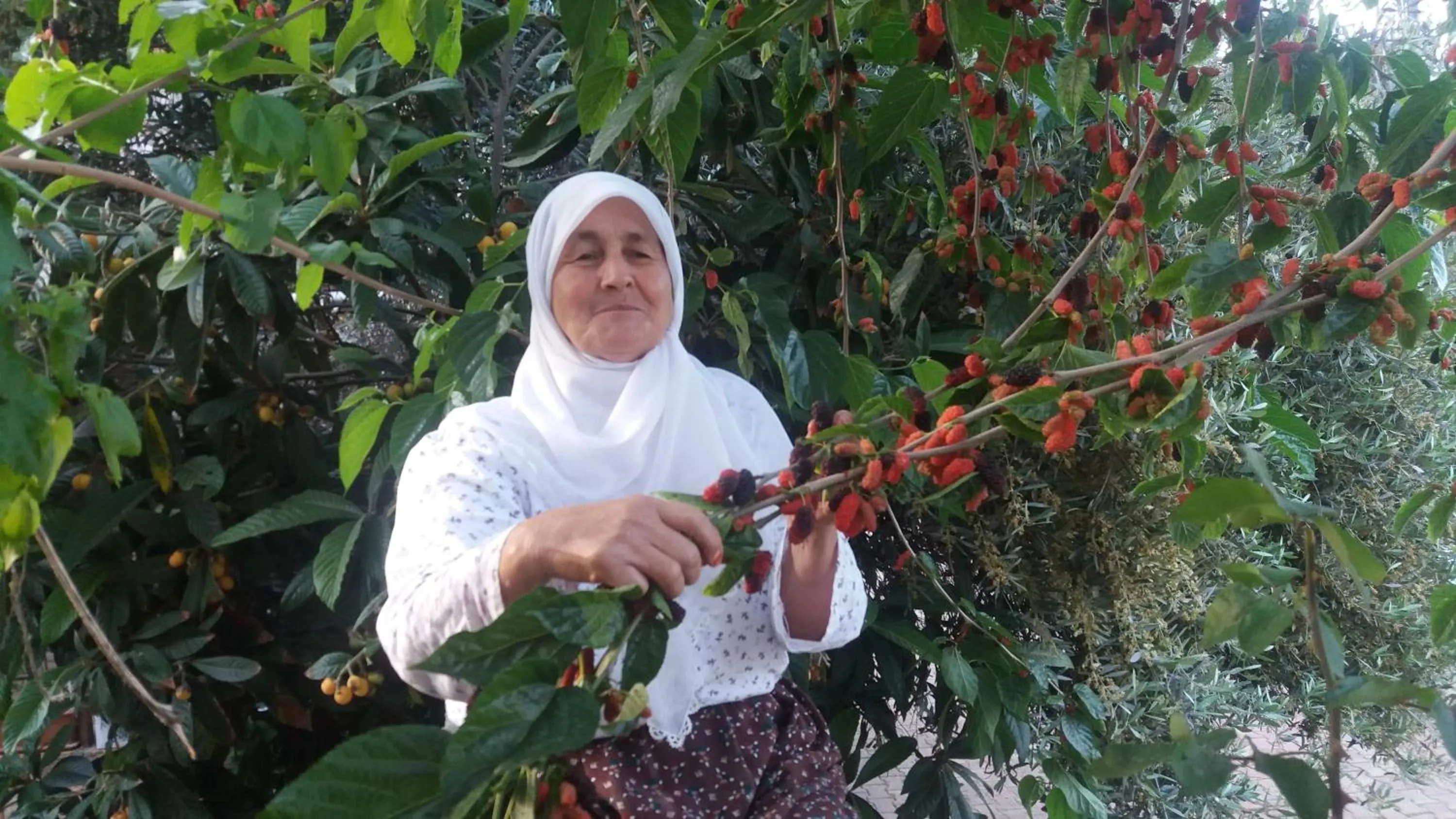 Other in Likya Pansiyon