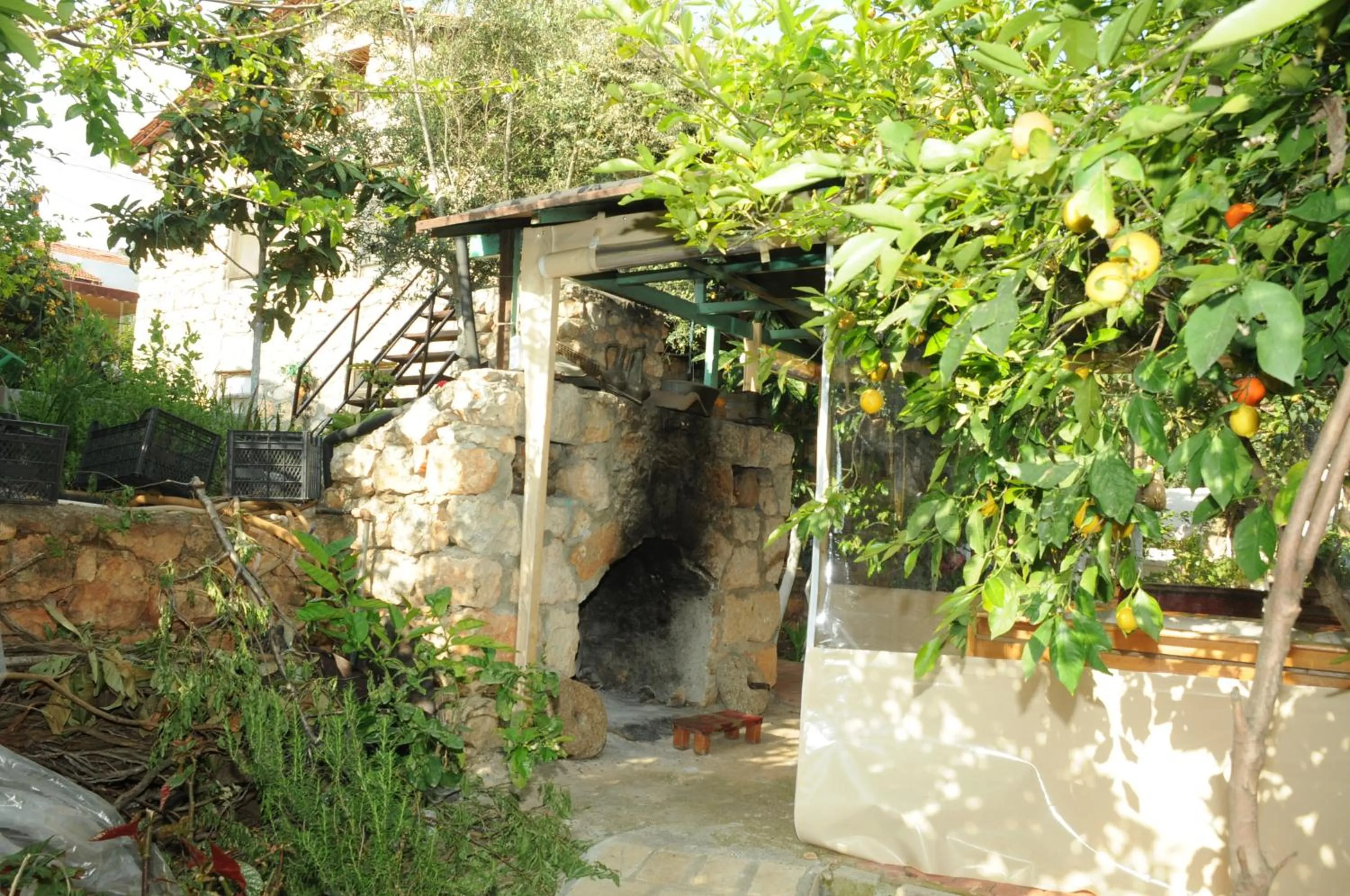 Day in Likya Pansiyon