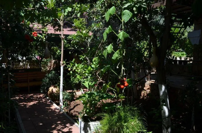 Day in Likya Pansiyon