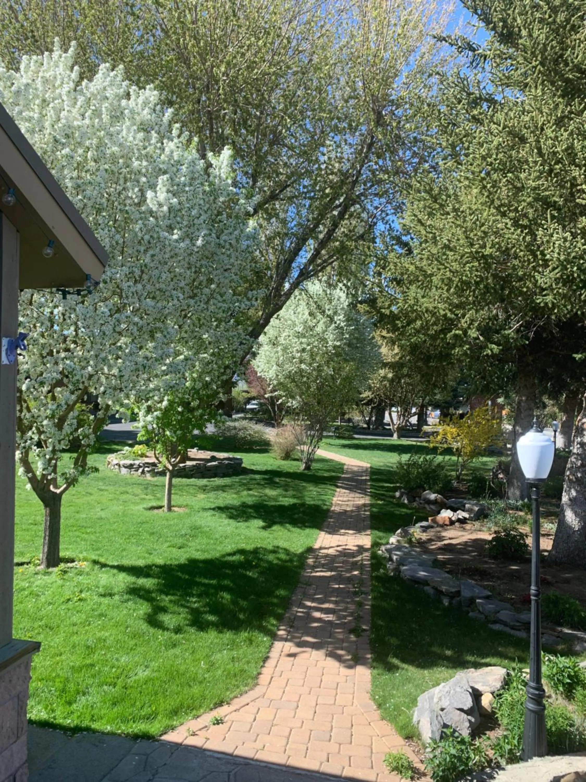 Restaurant/places to eat in Lake View Lodge