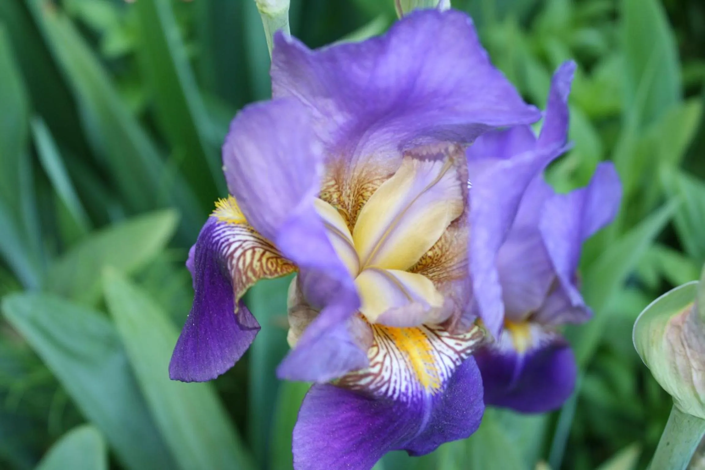 Other in Lake View Lodge