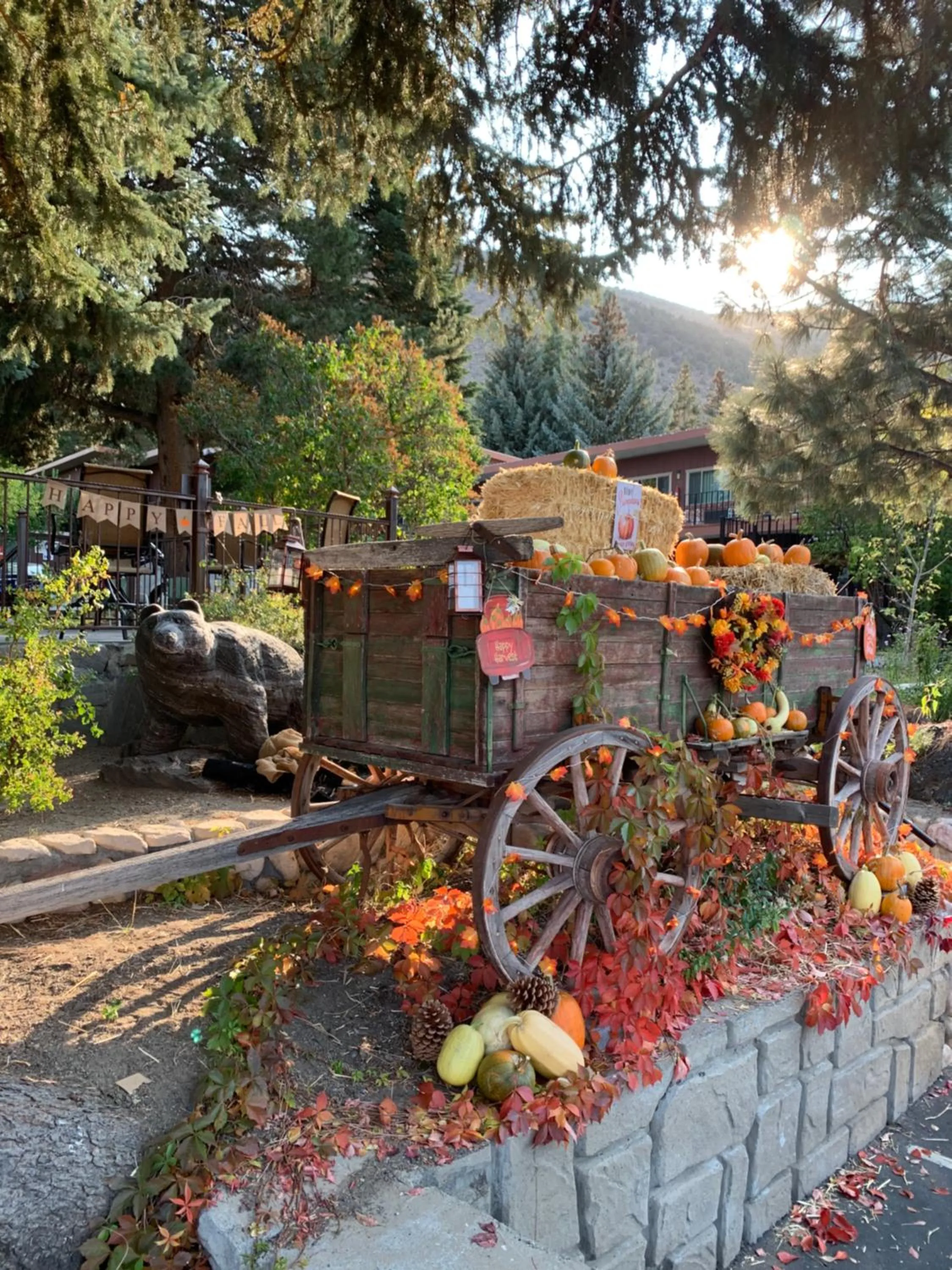 Autumn in Lake View Lodge