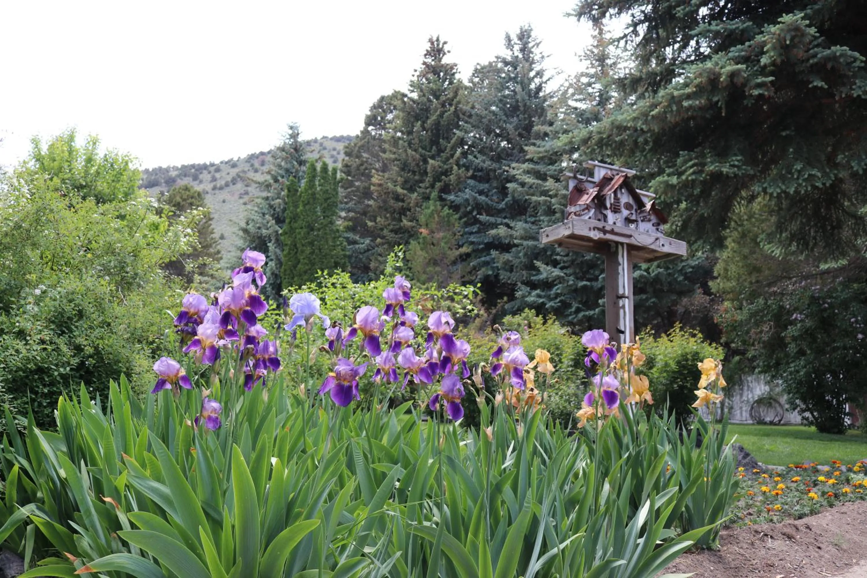 Spring in Lake View Lodge