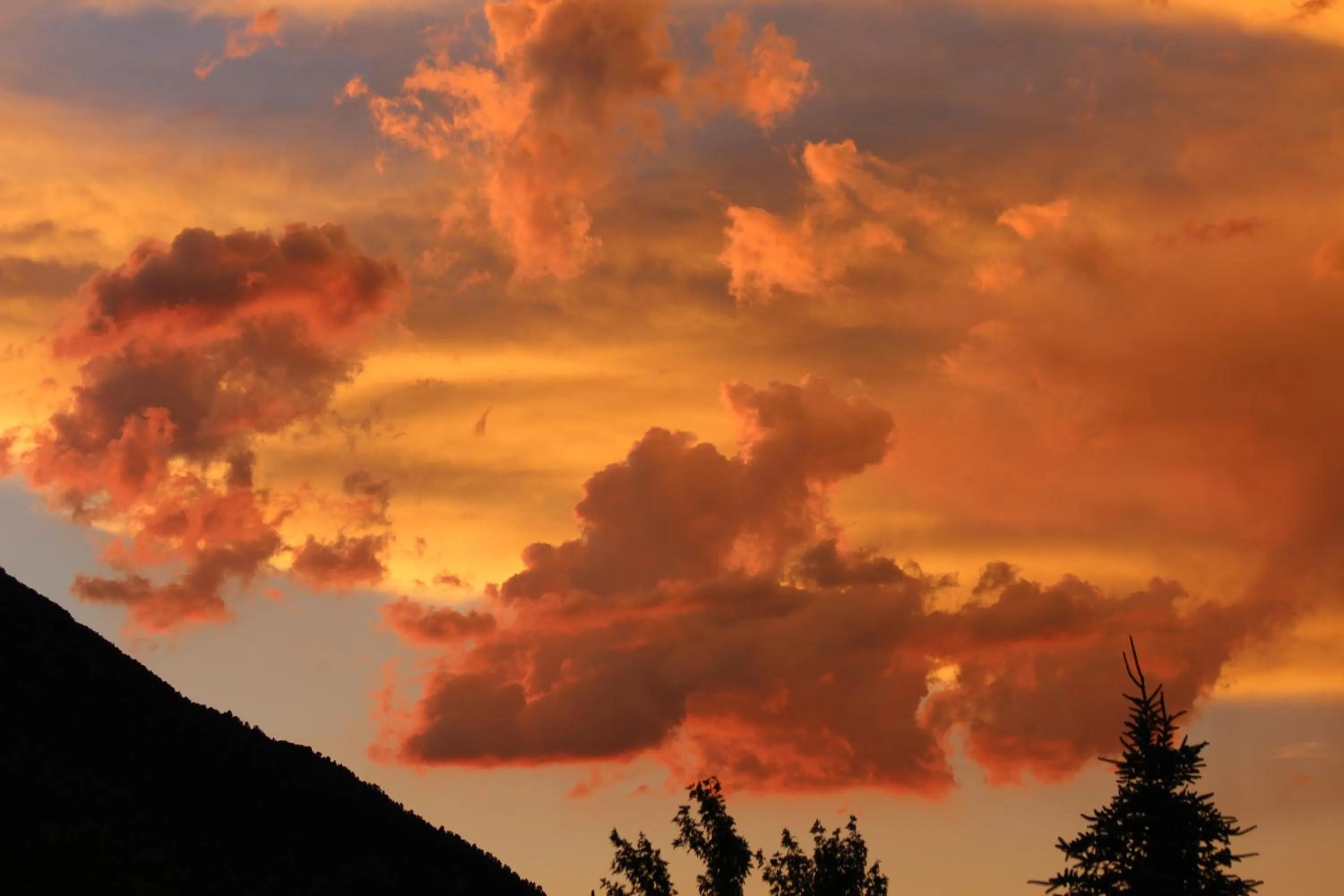 View (from property/room) in Lake View Lodge