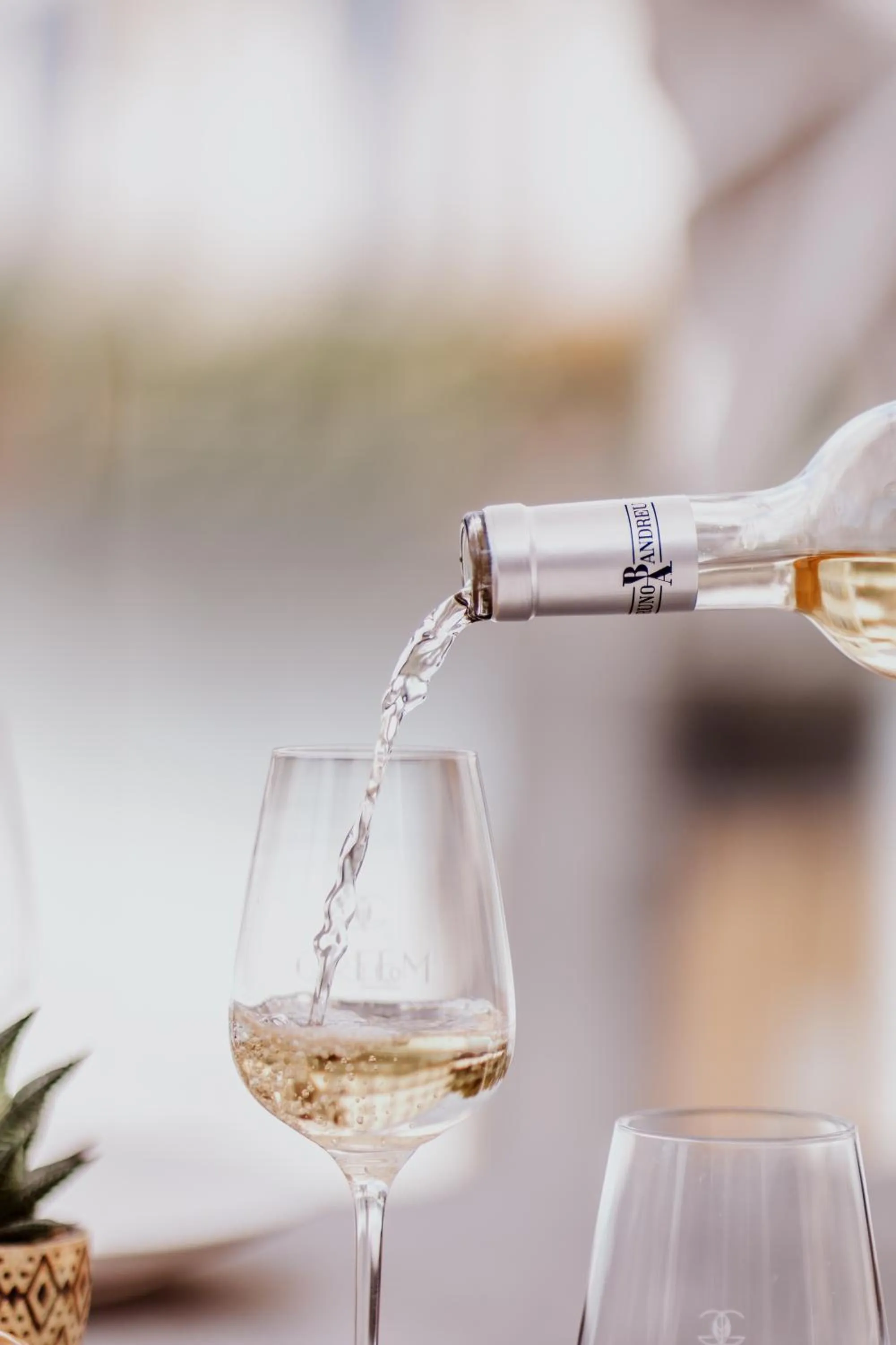 Food and drinks in Novotel Montpellier