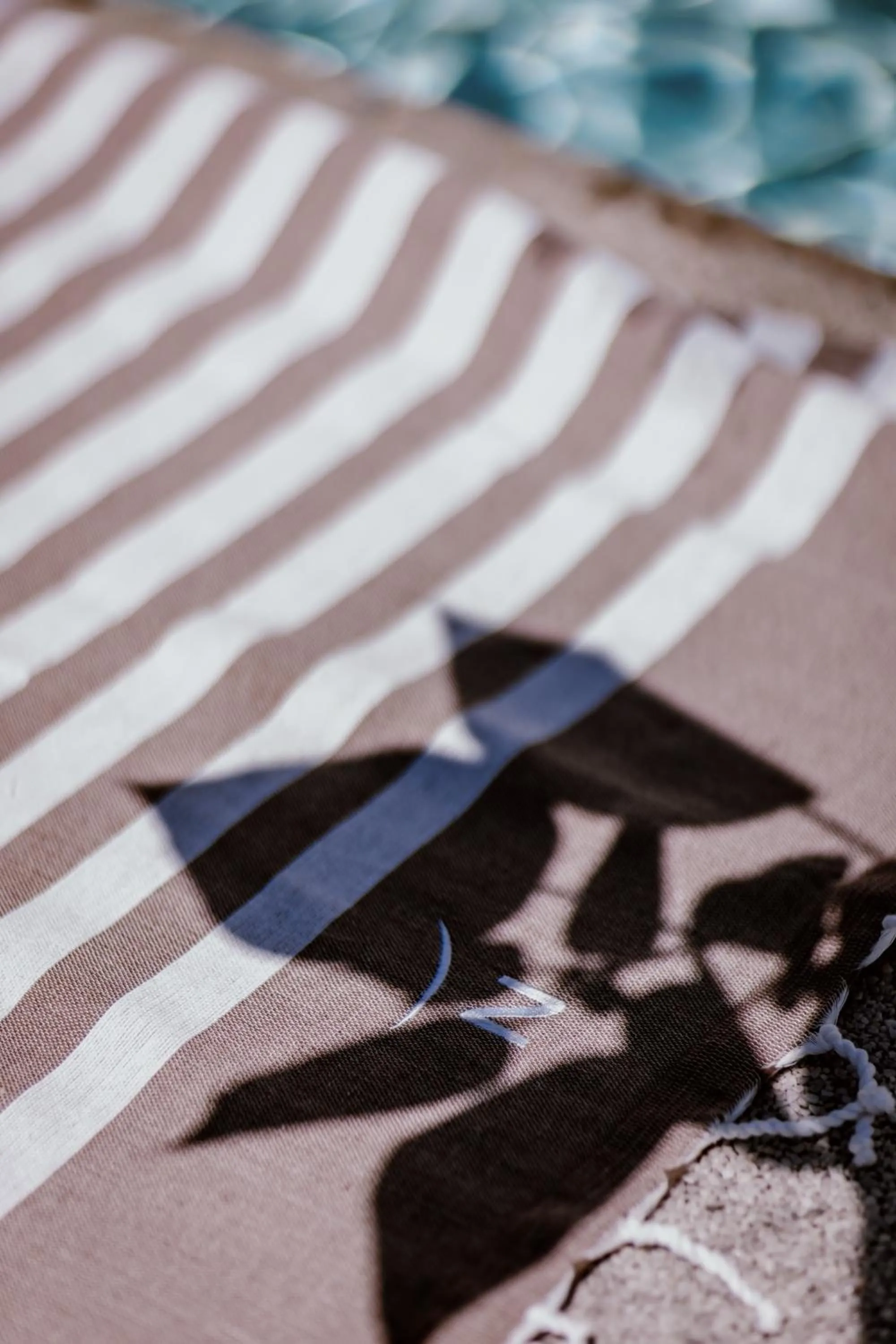 Day in Novotel Montpellier