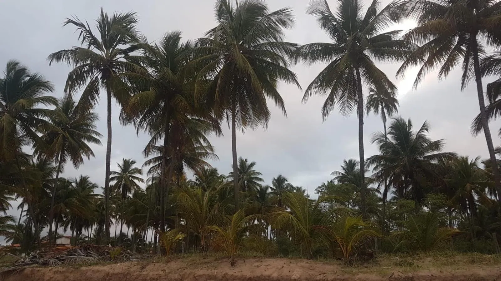 Vila Lua de Taipu - Taipu de Fora