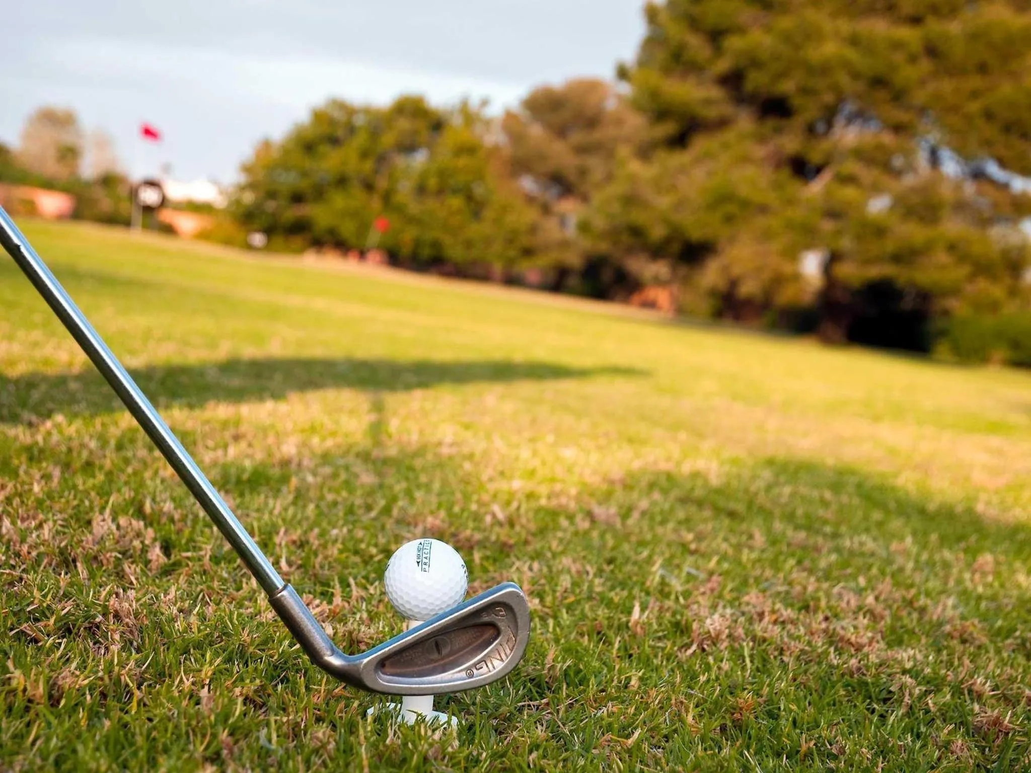 Golfcourse in Novotel Senart Golf De Greenparc