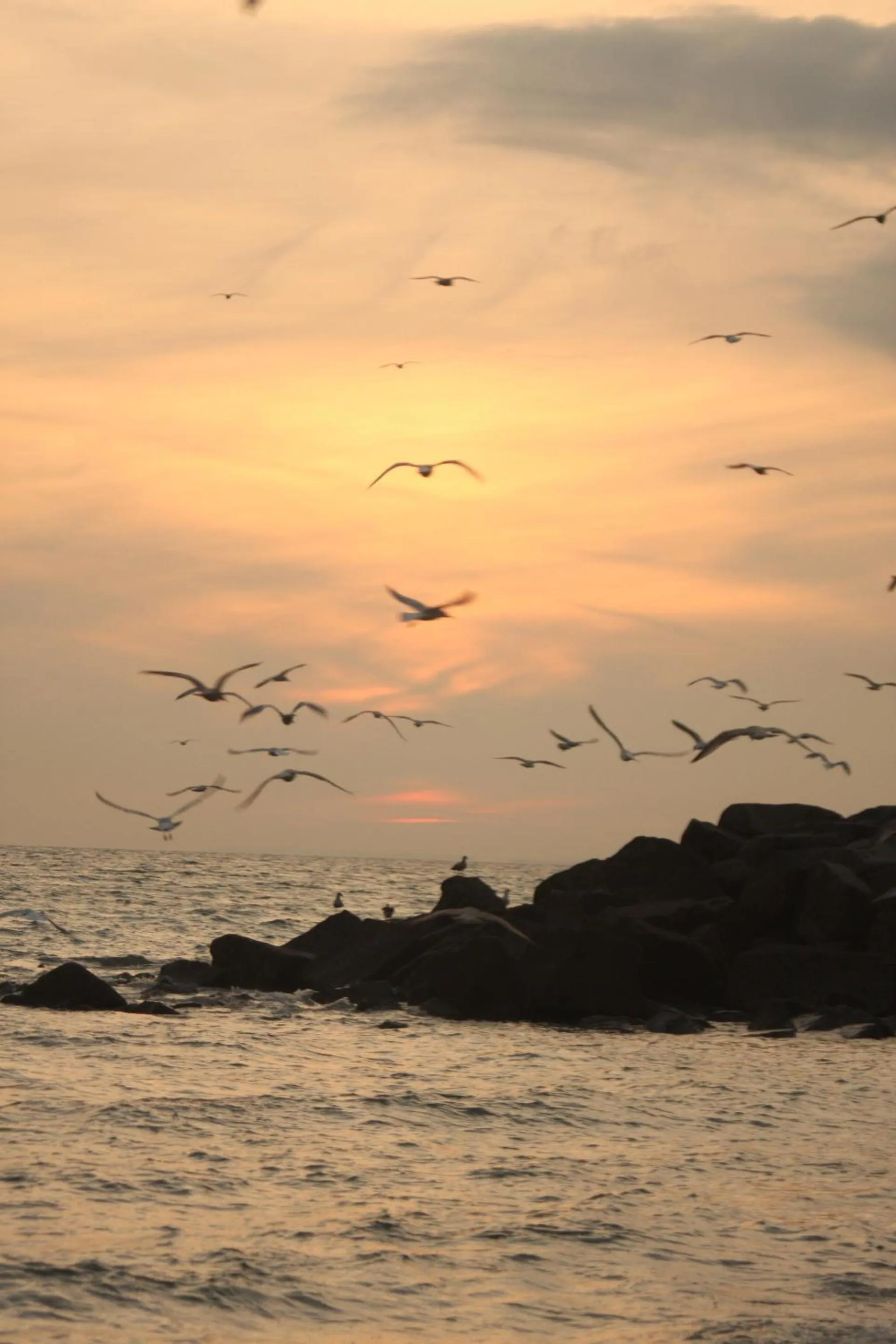 Beach in The Bridge House