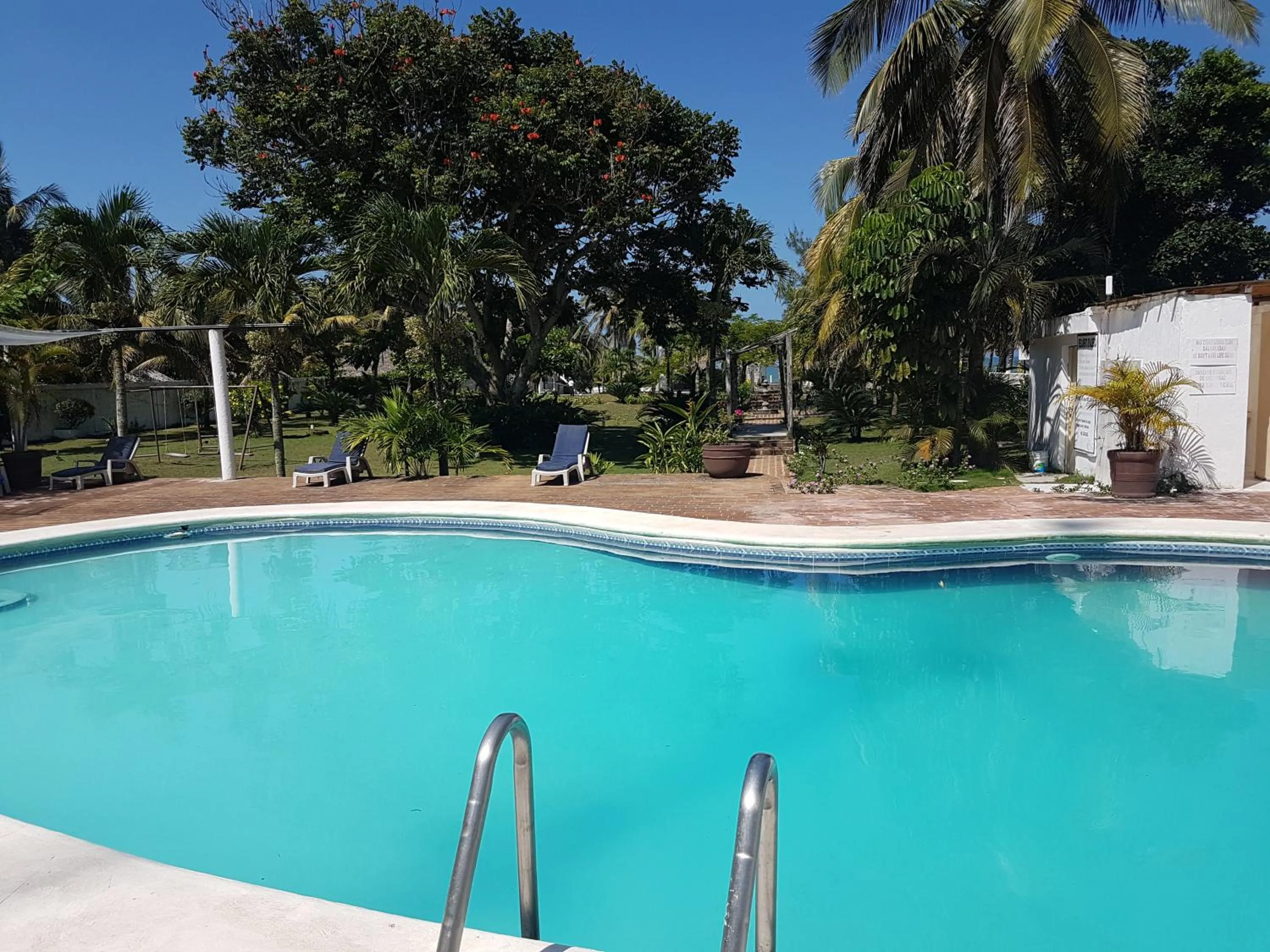 Swimming pool in Hotel El Doral