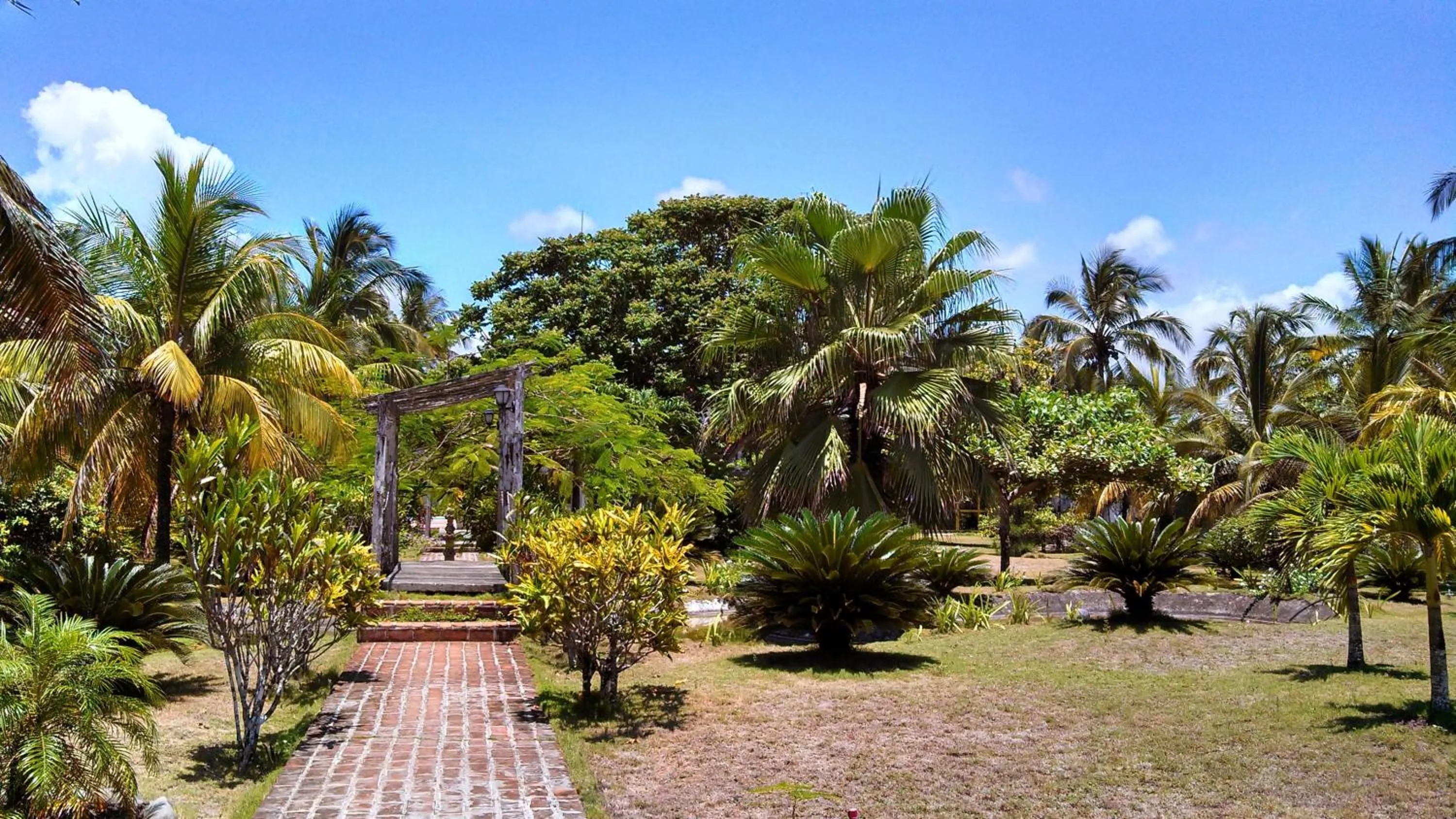 Garden in Hotel El Doral