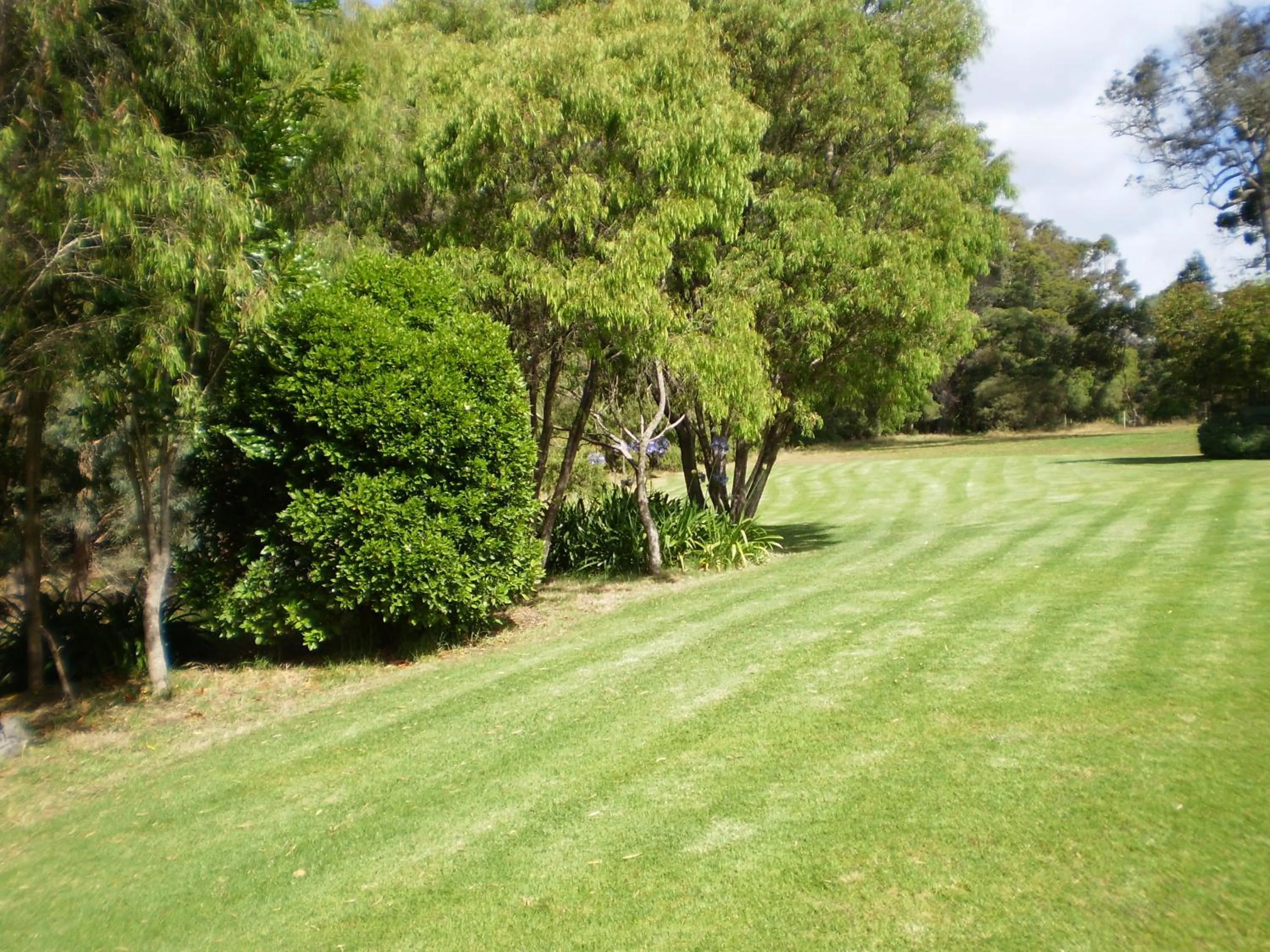 Natural landscape in Pinda Lodge