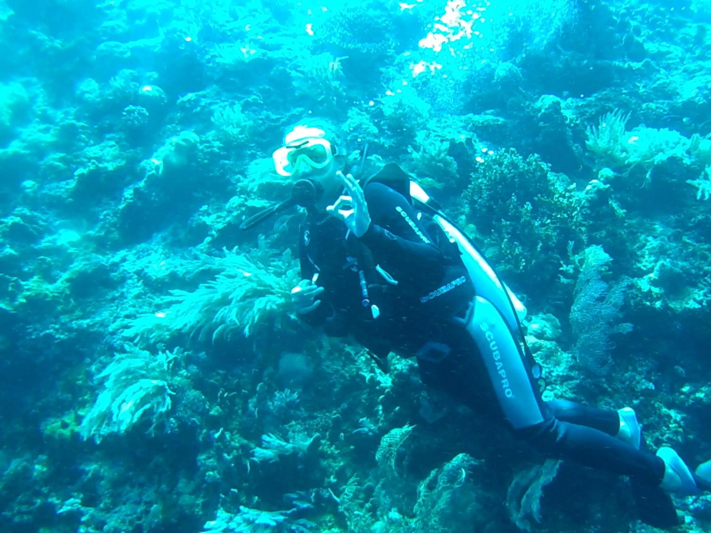 Wakatobi Patuno Diving and Beach Resort by SAHID