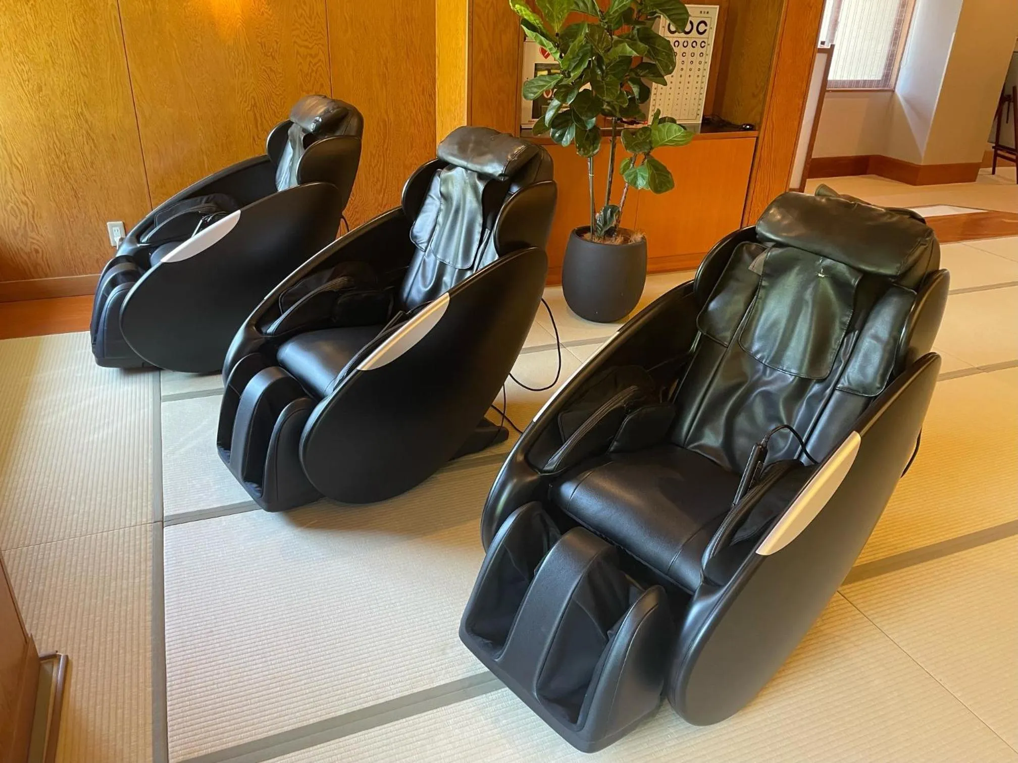 Shuzenji Onsen Katsuragawa