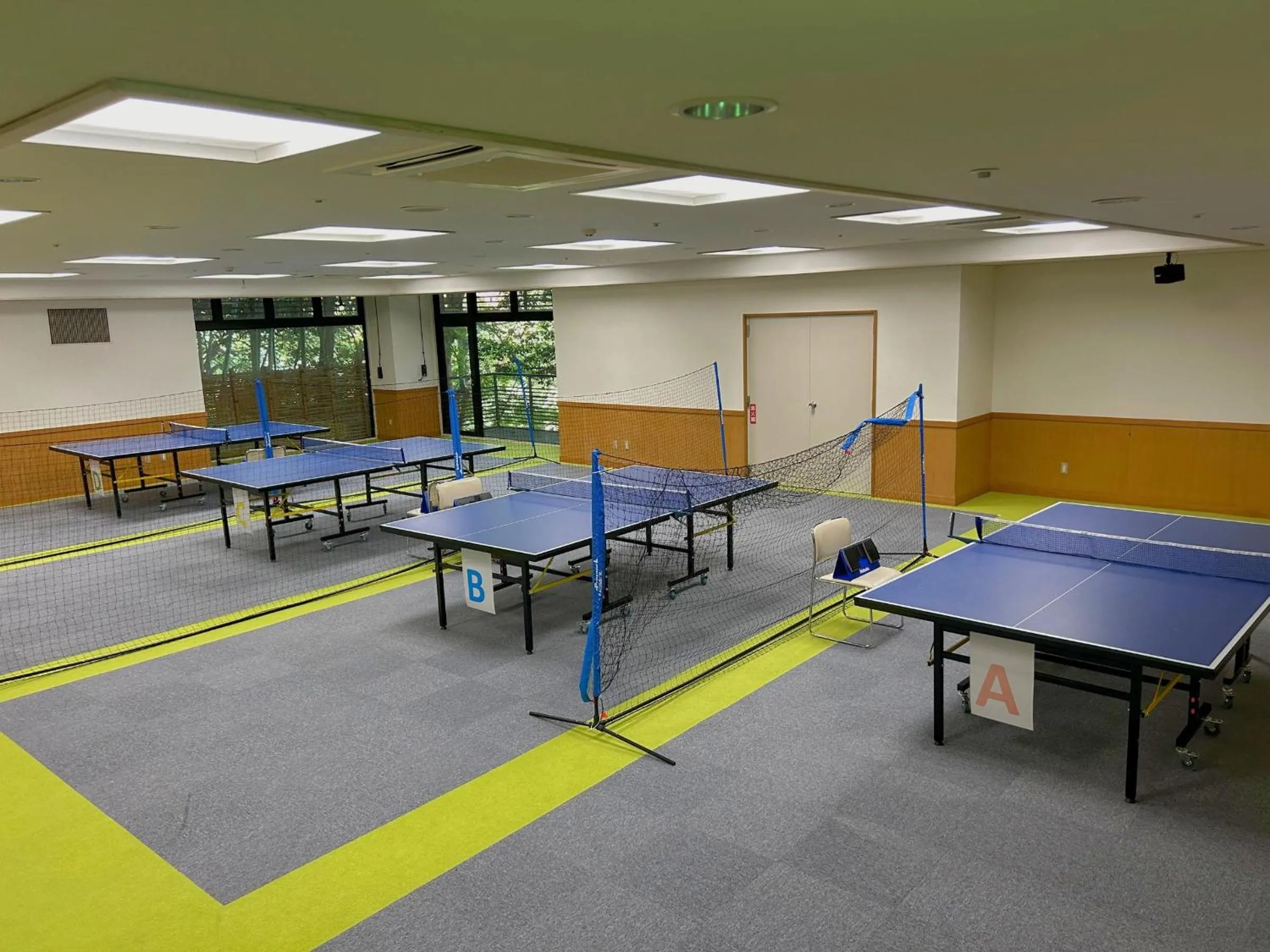 Shuzenji Onsen Katsuragawa