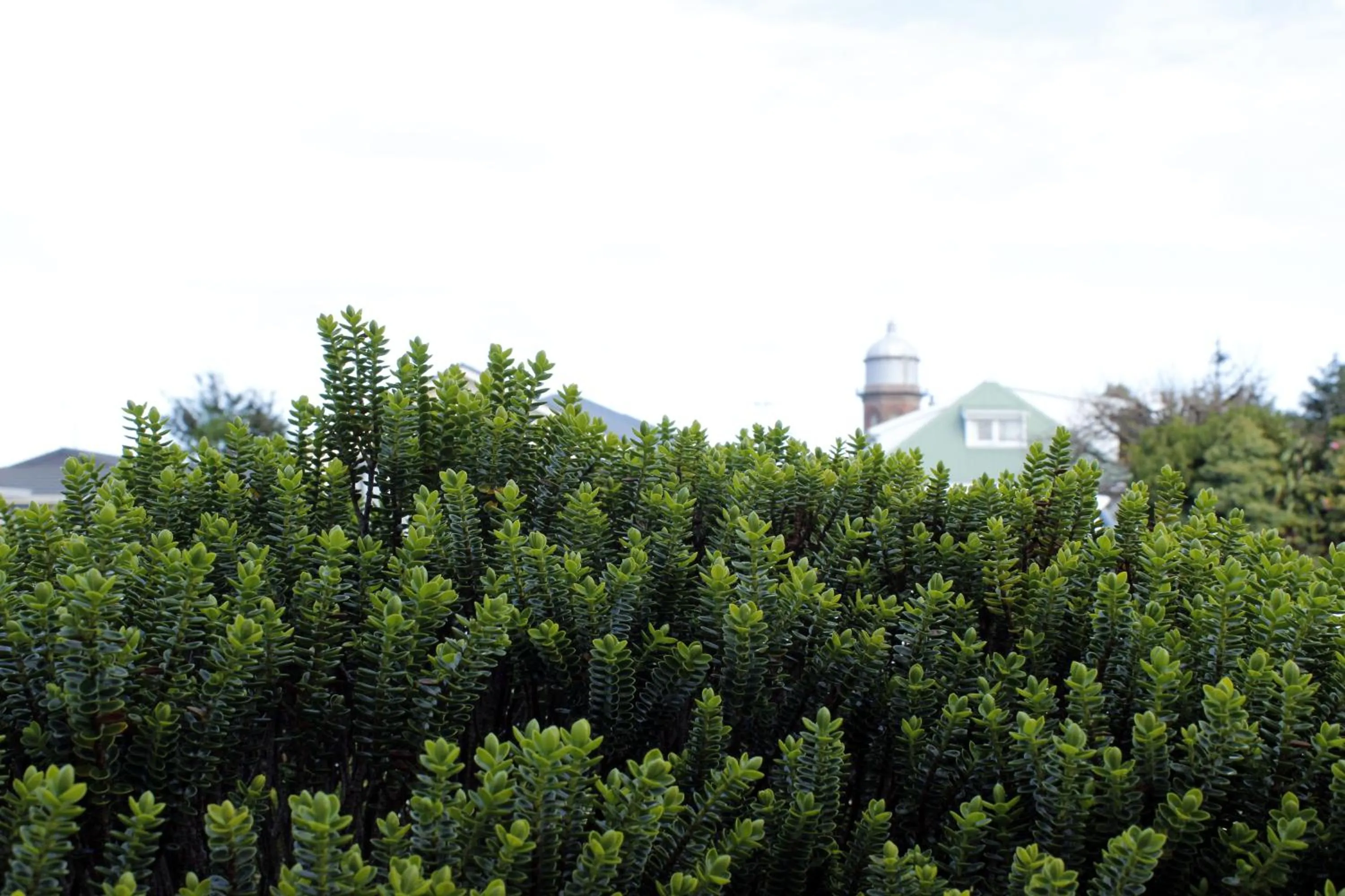 Other in Colonial Motel