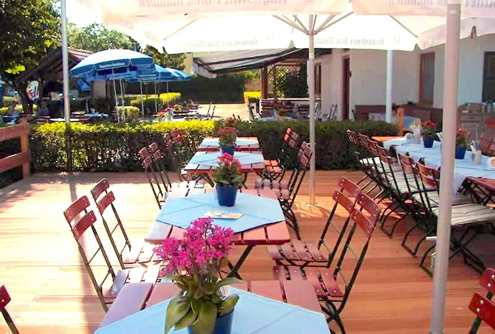 Restaurant/places to eat in Hotel Landgasthof Schöntag