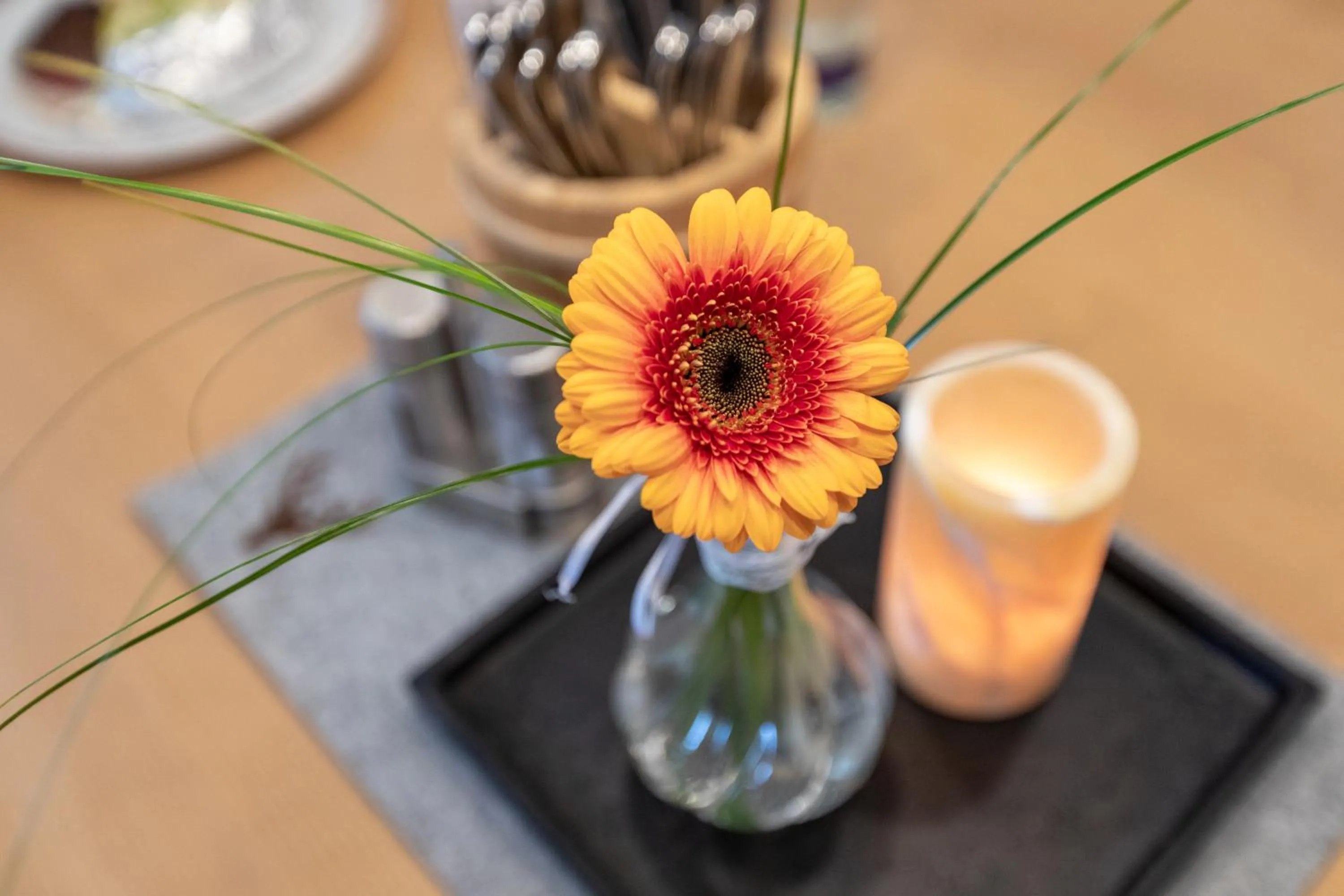 Food and drinks in Hotel Landgasthof Schöntag