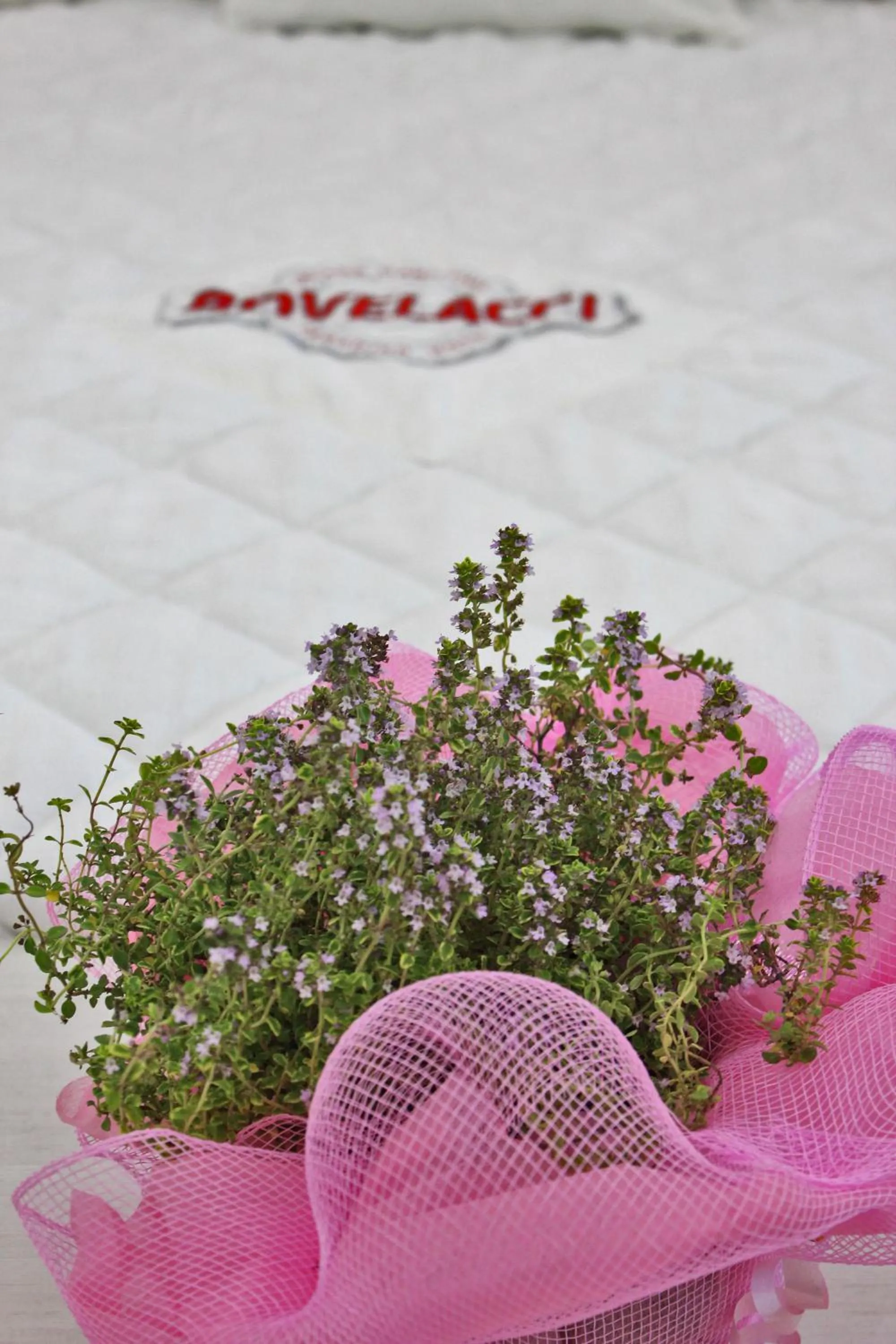 Decorative detail in Boutique Hotel Paradiso Bovelacci