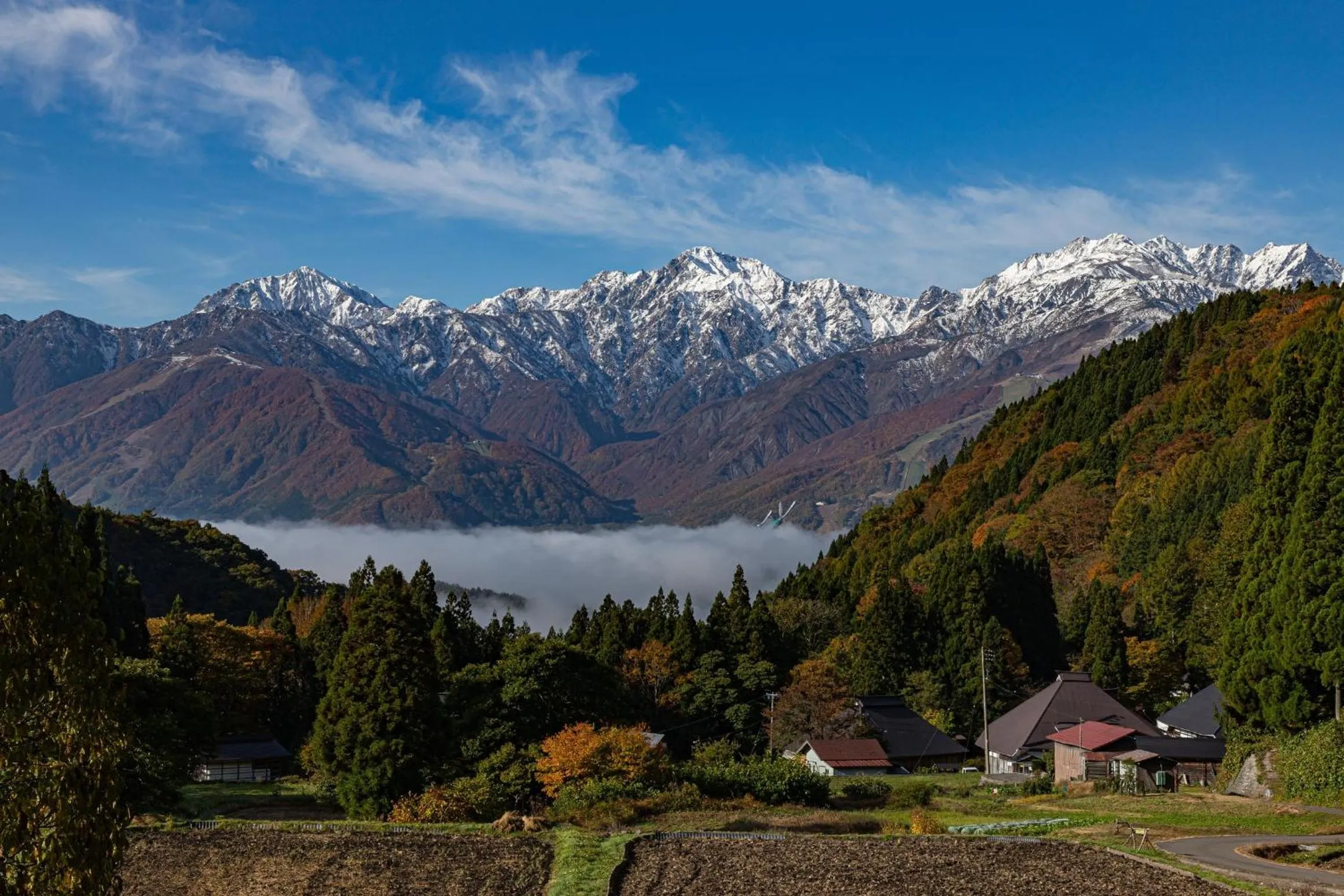 Natural landscape in UNPLAN Village Hakuba