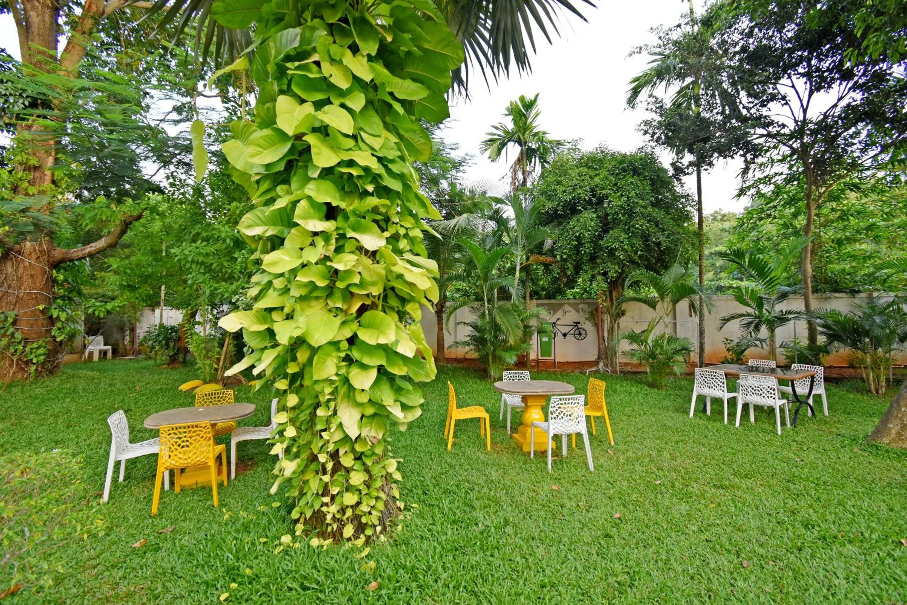 Garden in Poppys Olive de' villa