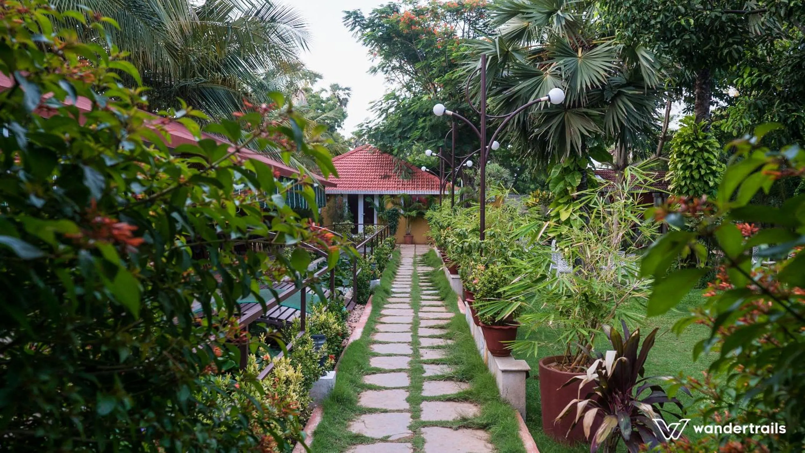 Area and facilities in Poppys Olive de' villa