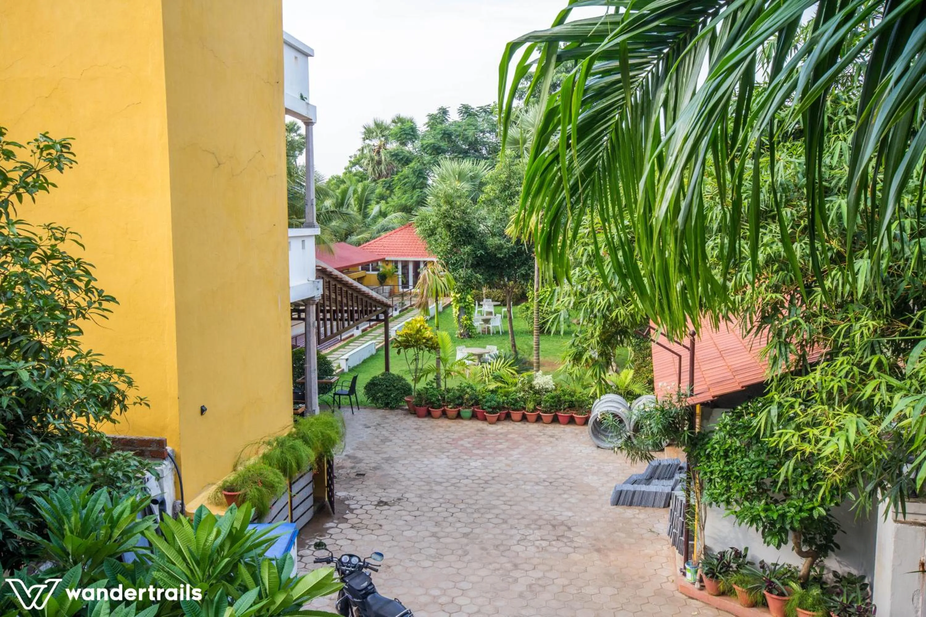 Garden in Poppys Olive de' villa