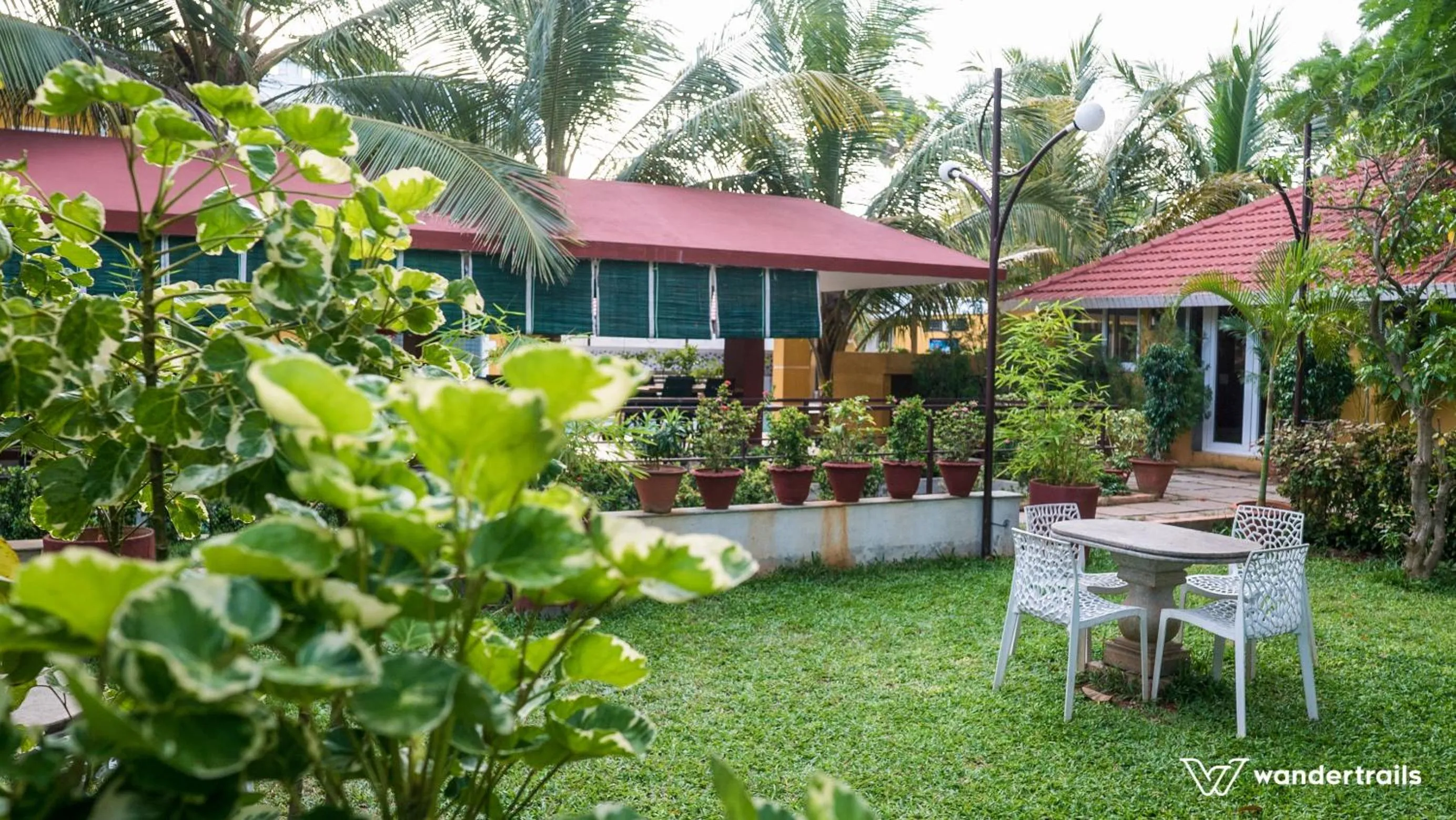 Area and facilities in Poppys Olive de' villa