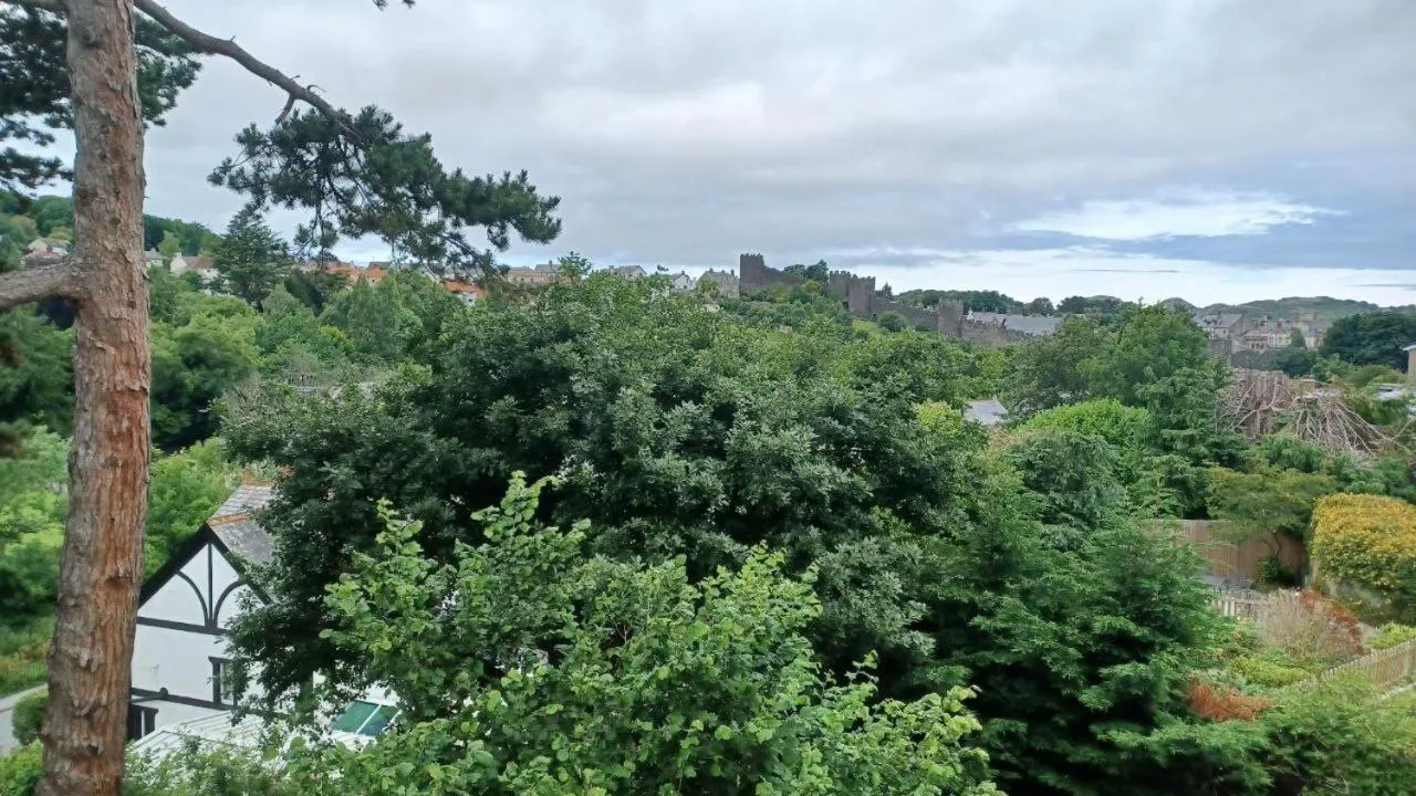 View (from property/room) in Glan Heulog