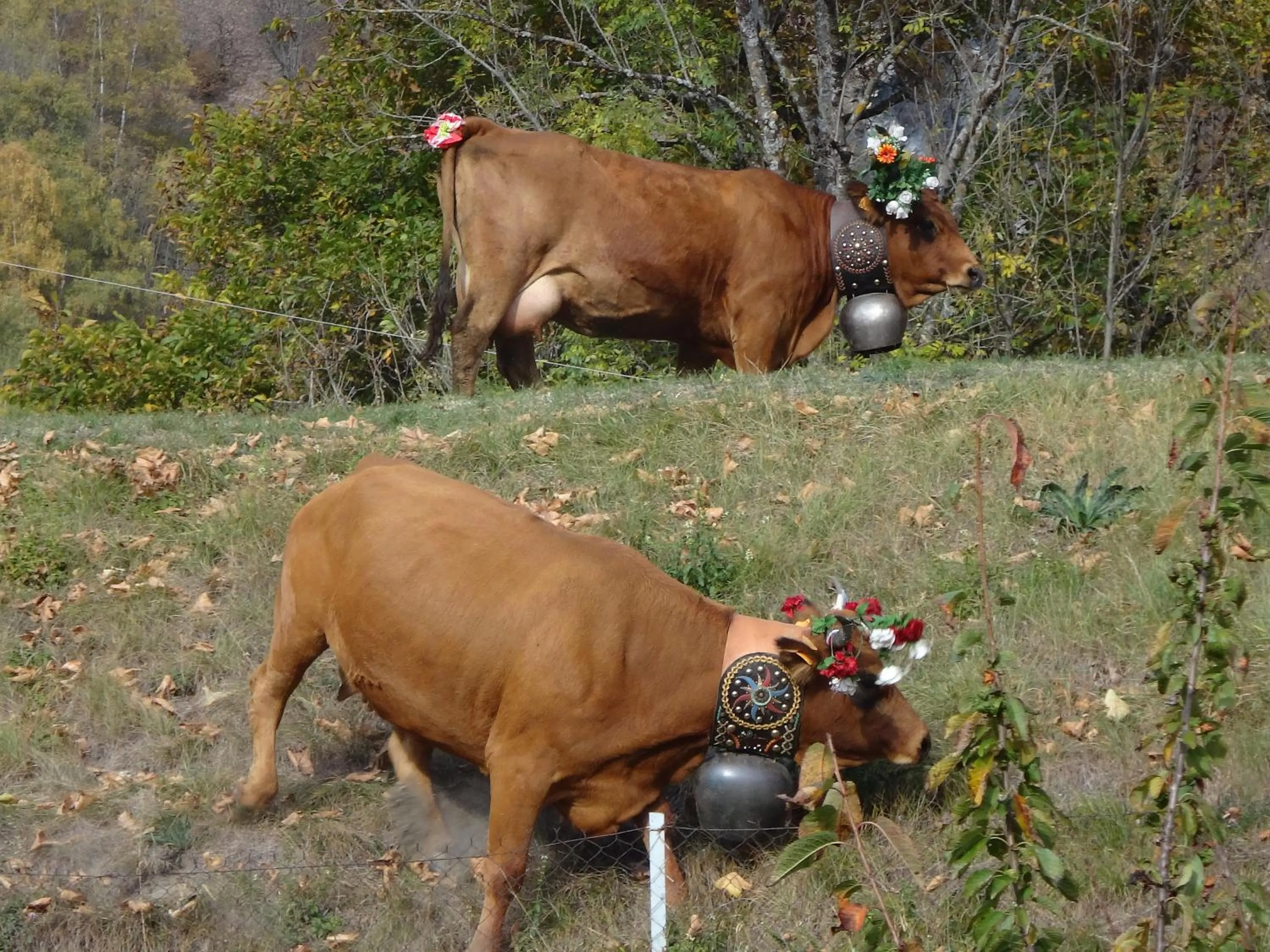 Activities in Le Rond Point des Pistes - 4 personnes - Tignes Val Claret 2100m - skis aux pieds